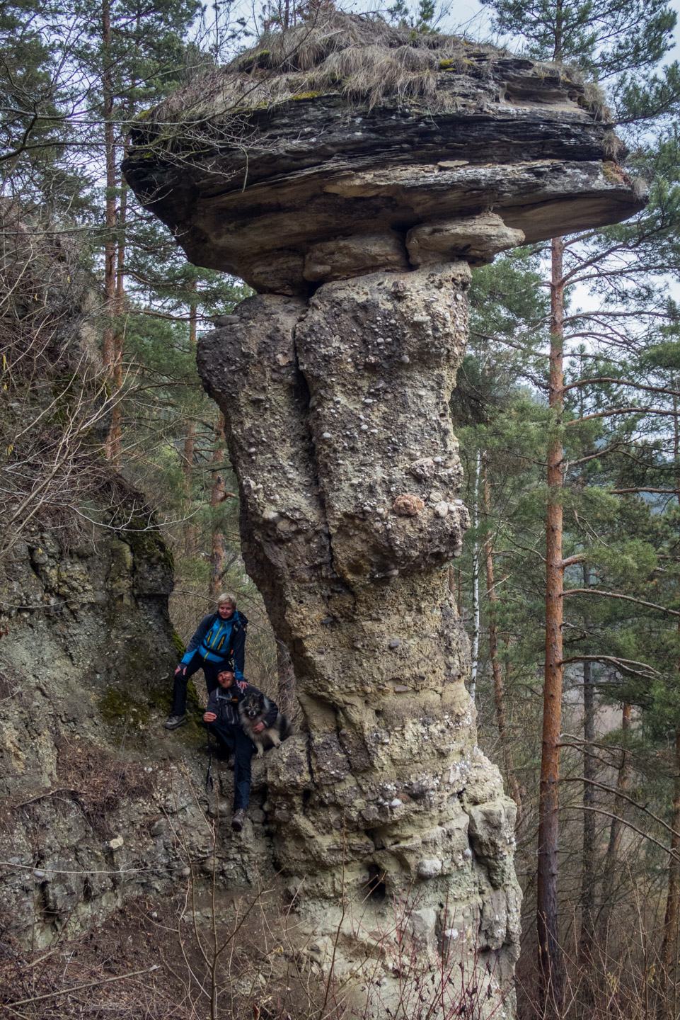 Markušovský skalný hríb a Šikľavá skala (Volovské vrchy)