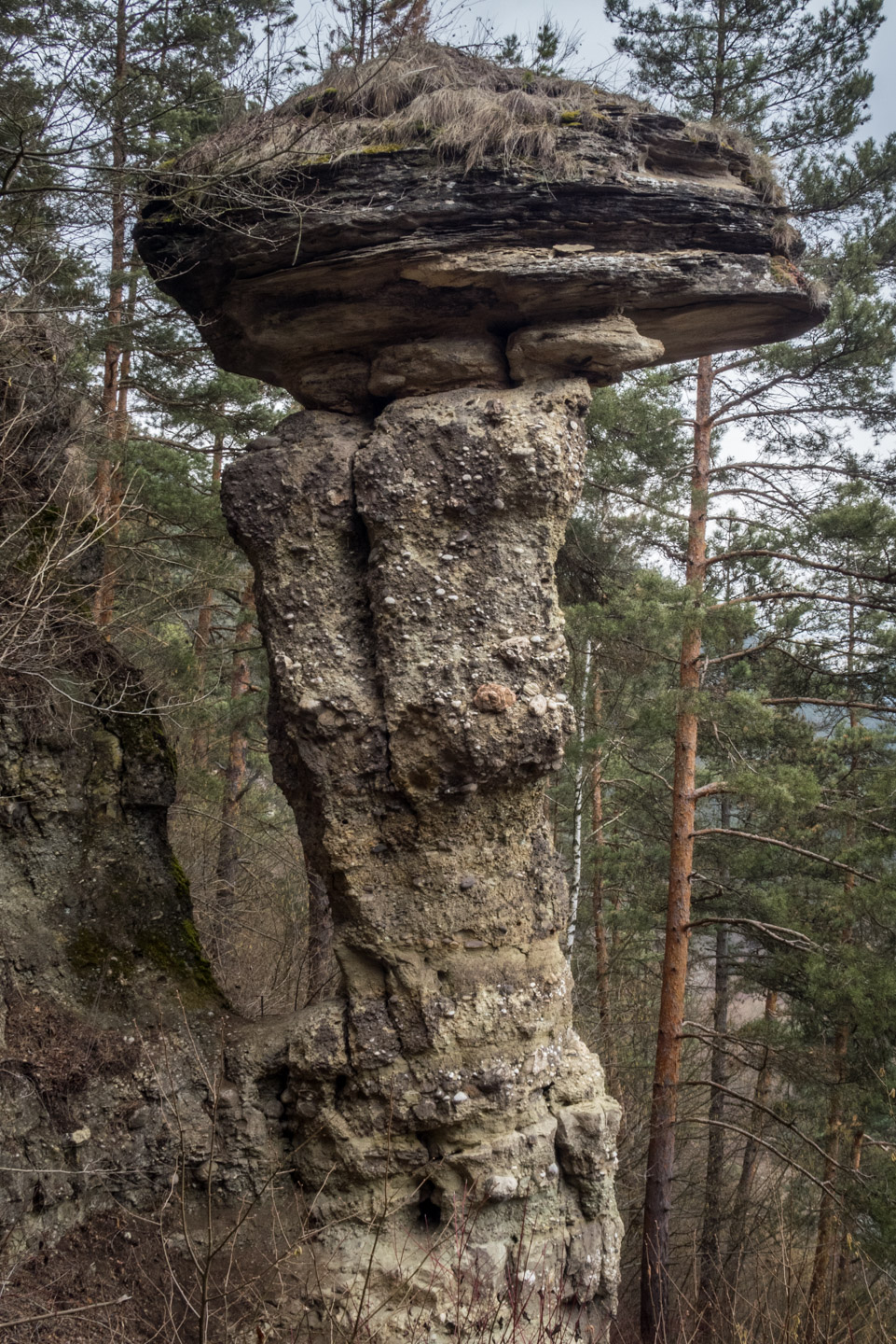 Markušovský skalný hríb a Šikľavá skala (Volovské vrchy)