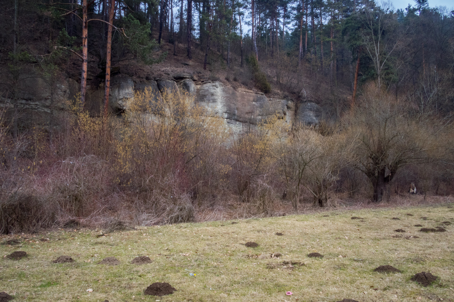 Markušovský skalný hríb a Šikľavá skala (Volovské vrchy)