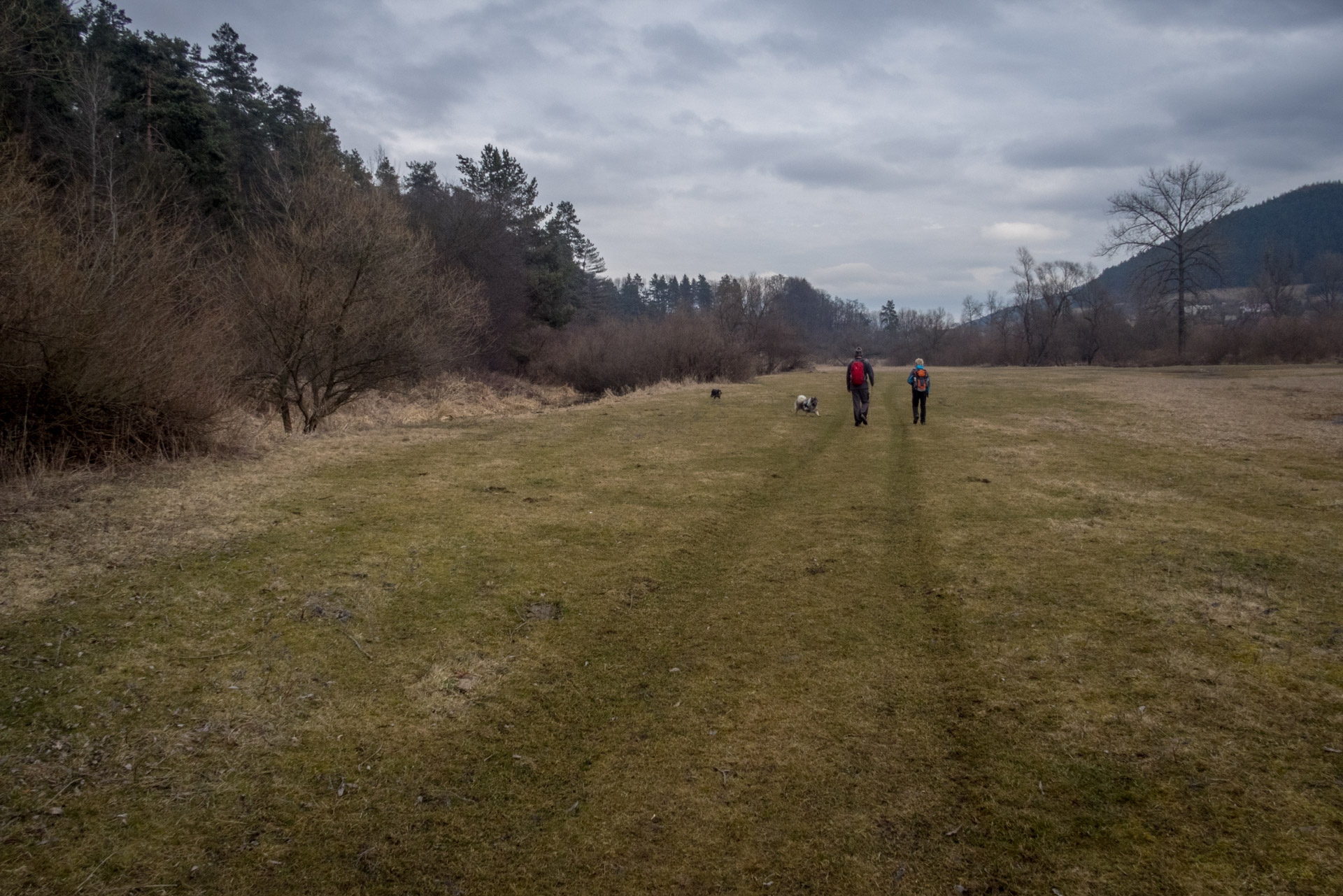 Markušovský skalný hríb a Šikľavá skala (Volovské vrchy)