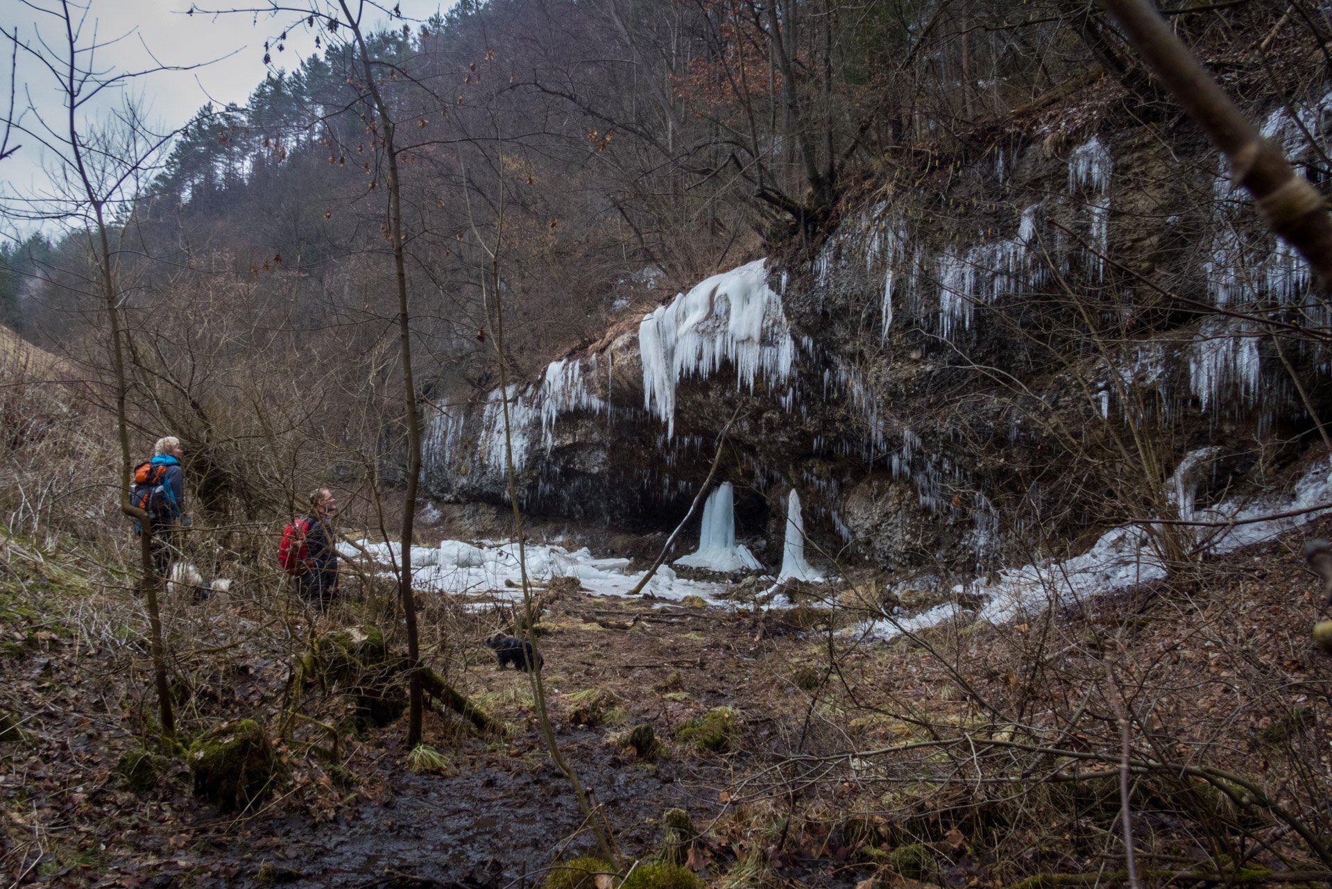 Markušovský skalný hríb a Šikľavá skala (Volovské vrchy)