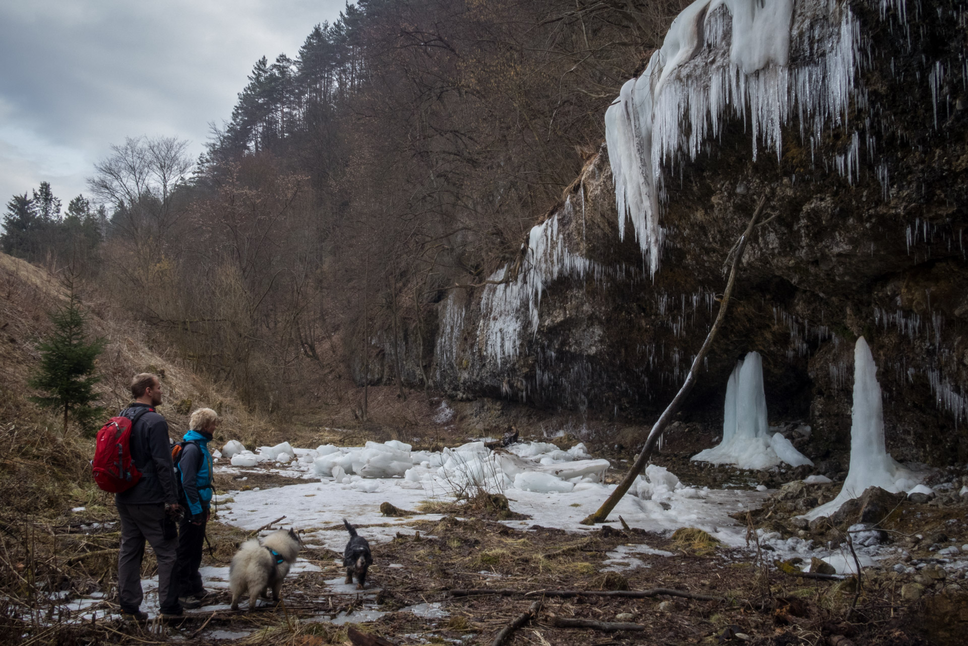 Markušovský skalný hríb a Šikľavá skala (Volovské vrchy)