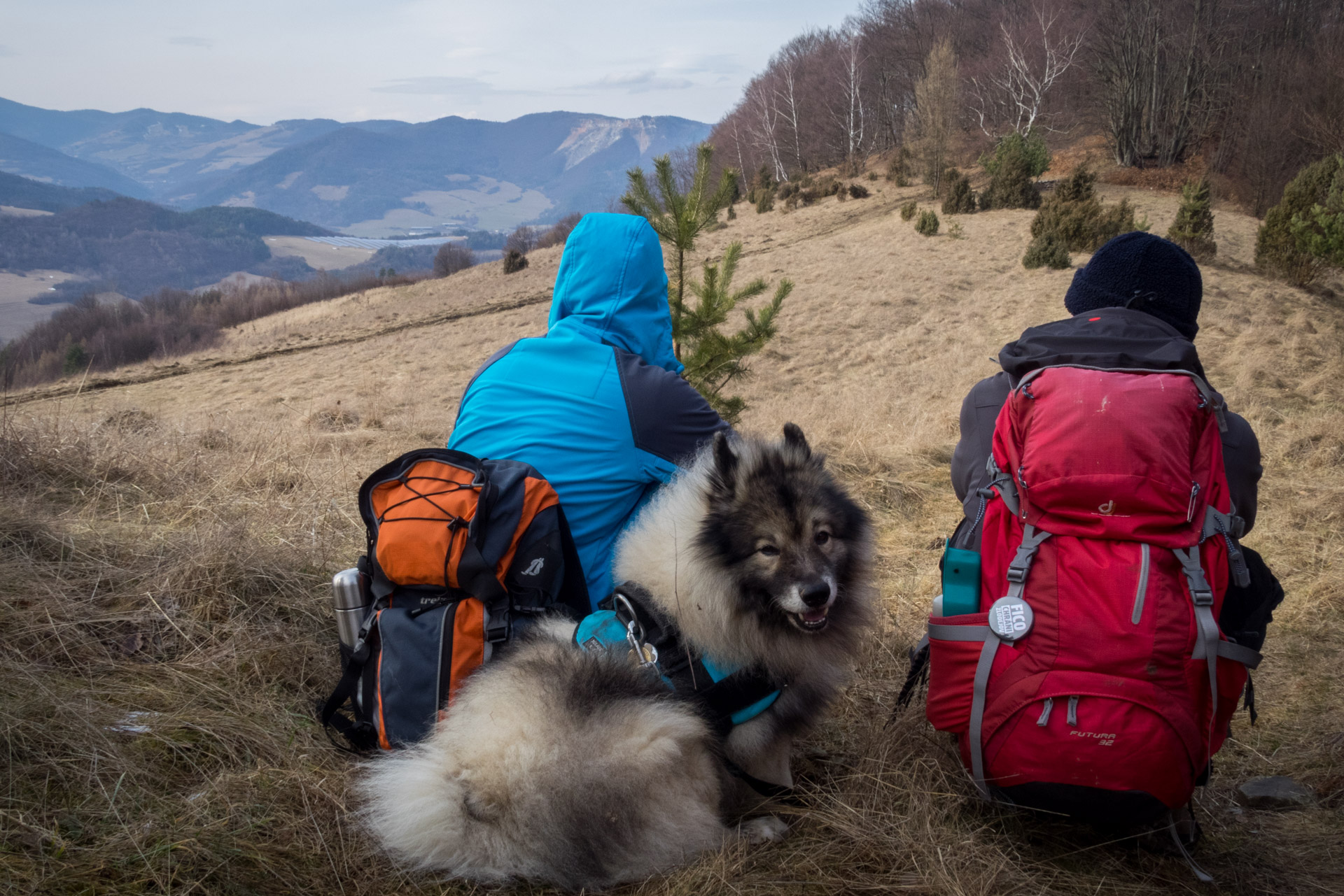 Markušovský skalný hríb a Šikľavá skala (Volovské vrchy)