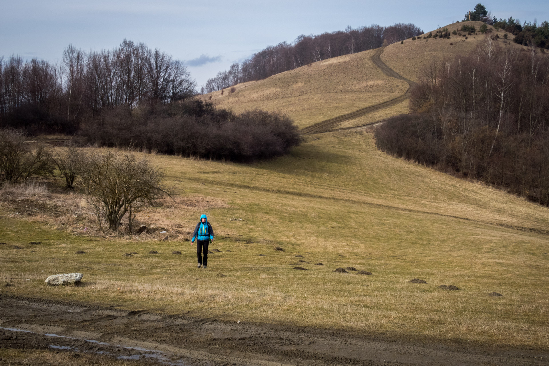 Markušovský skalný hríb a Šikľavá skala (Volovské vrchy)