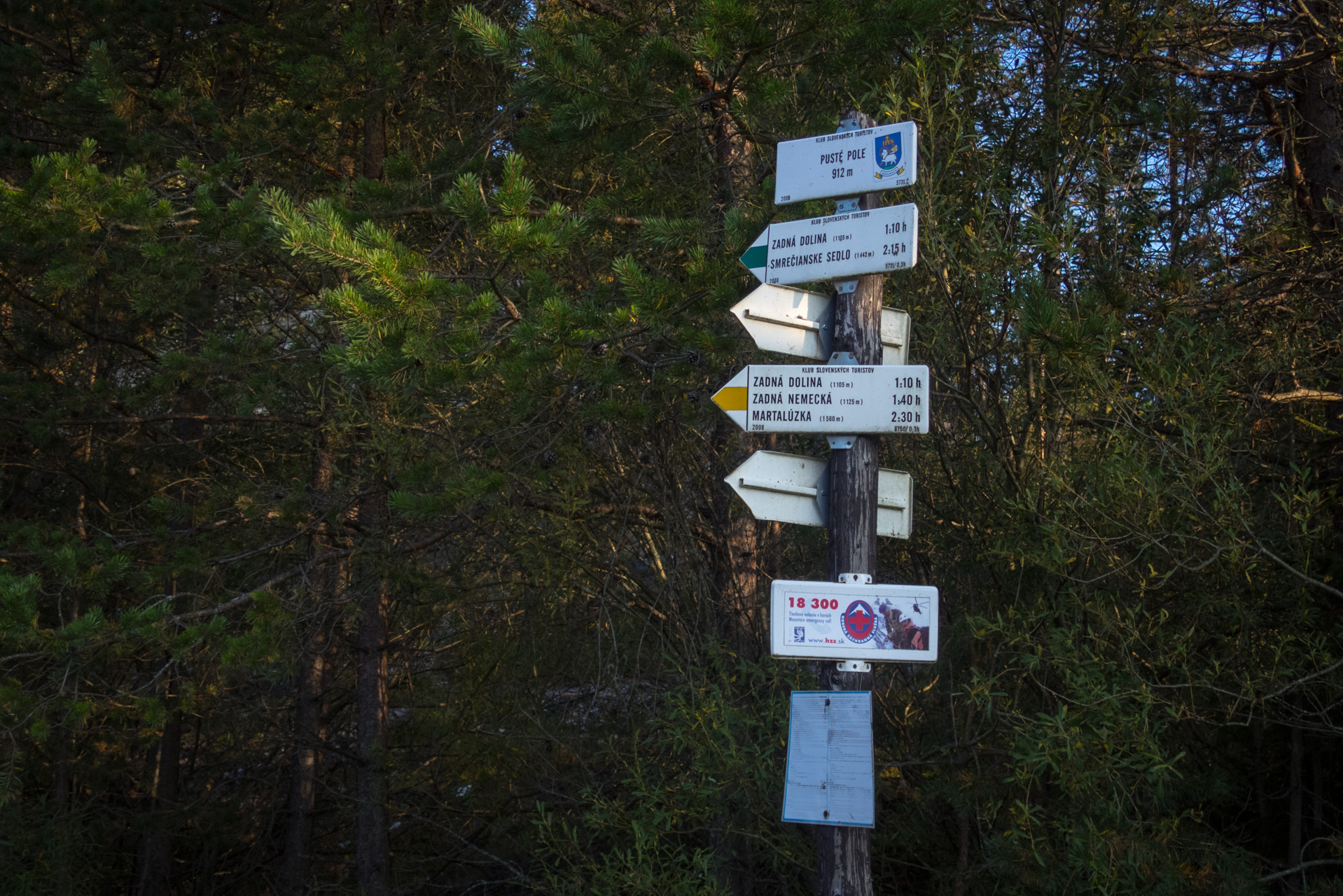 Martalúzka a Predná hoľa z Pustého poľa (Nízke Tatry)