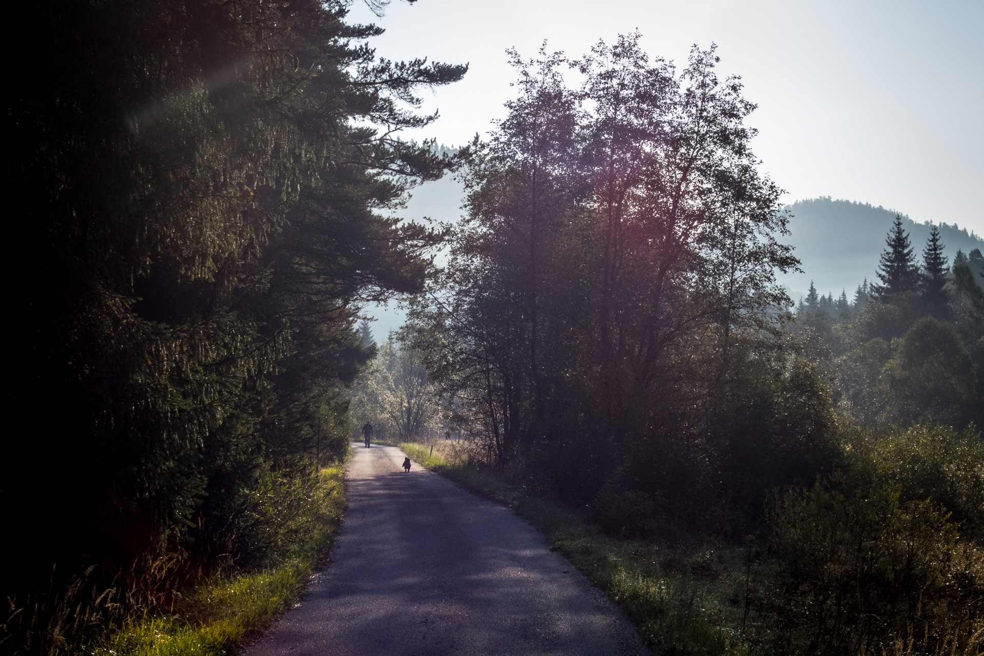 Martalúzka a Predná hoľa z Pustého poľa (Nízke Tatry)