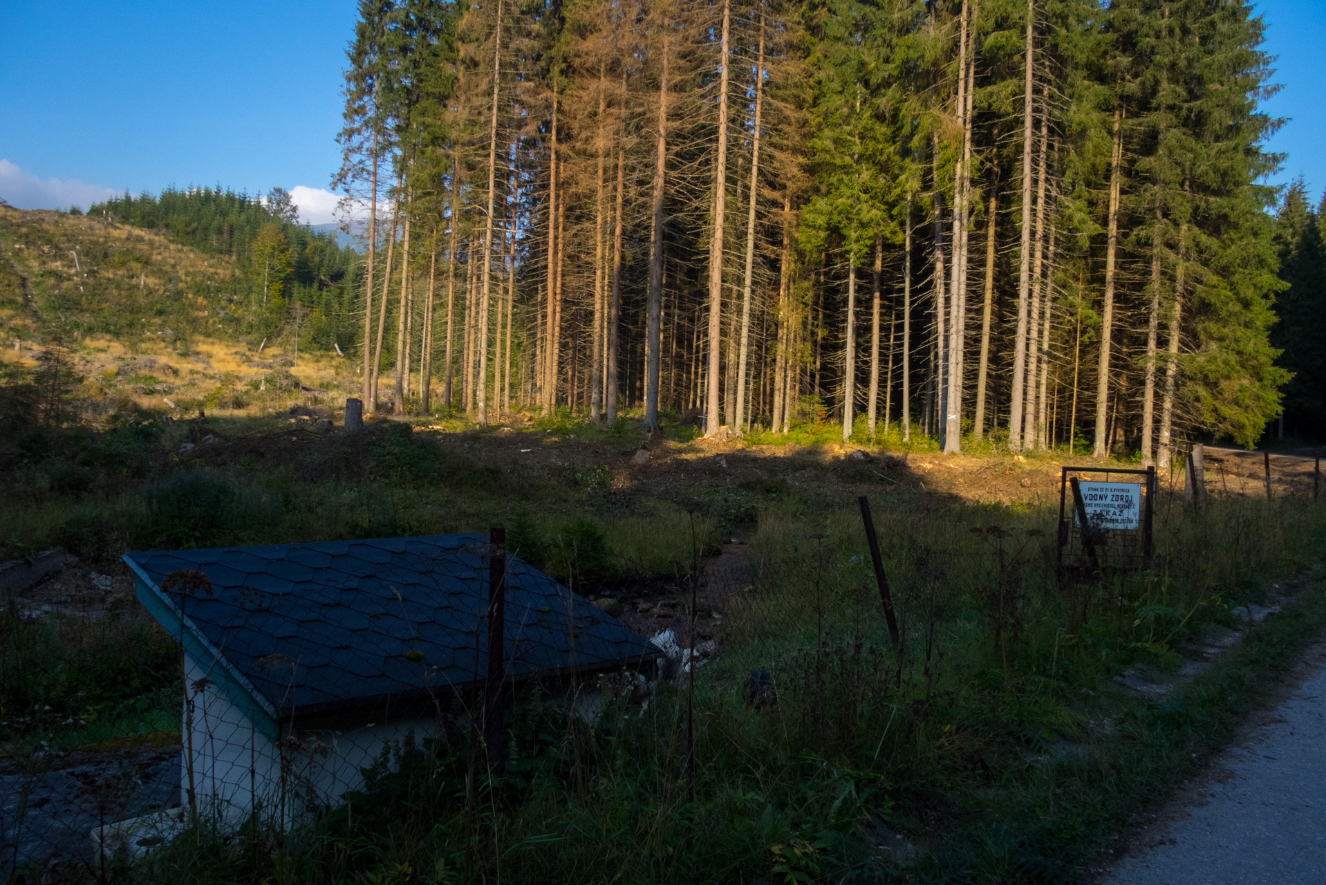 Martalúzka a Predná hoľa z Pustého poľa (Nízke Tatry)