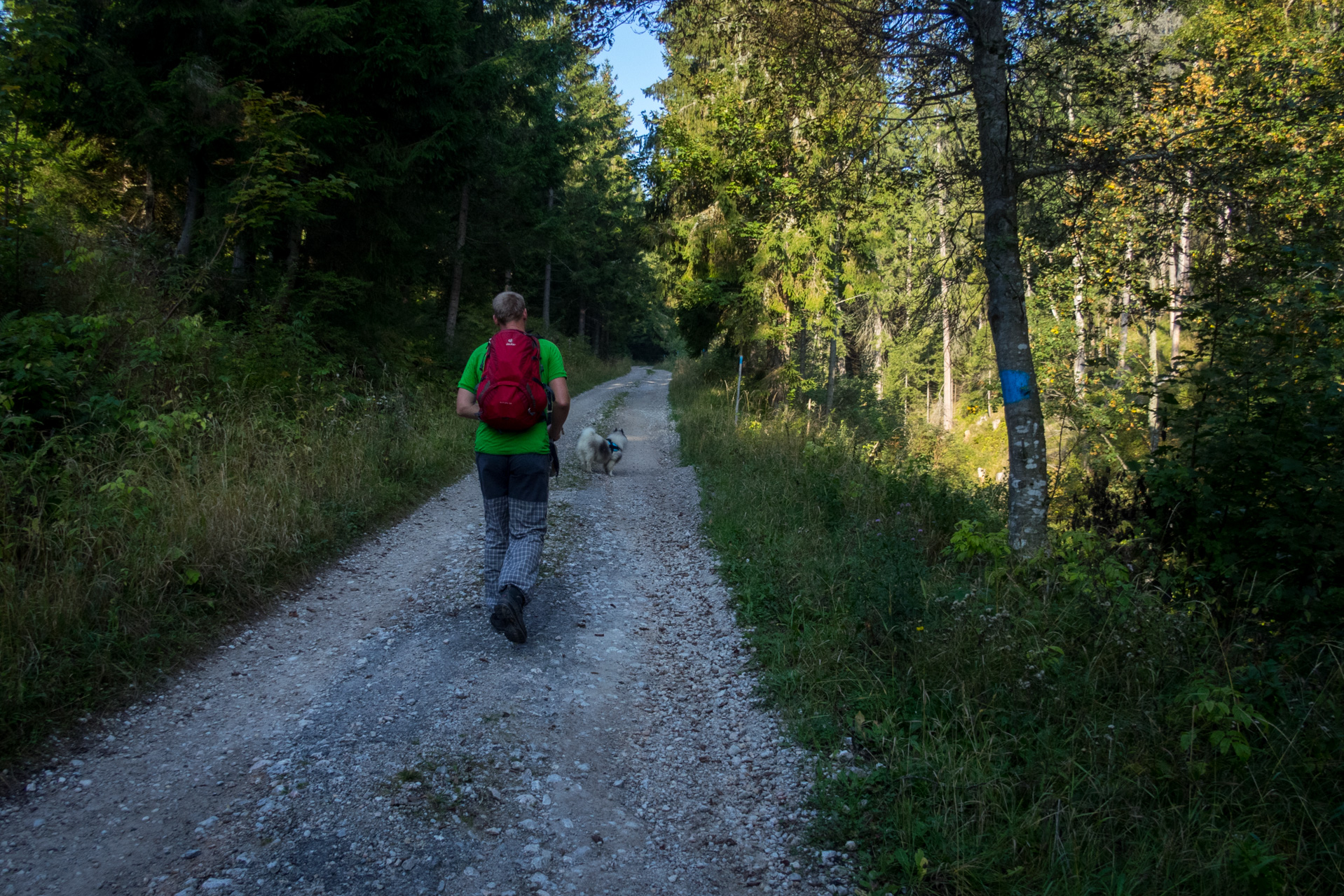 Martalúzka a Predná hoľa z Pustého poľa (Nízke Tatry)