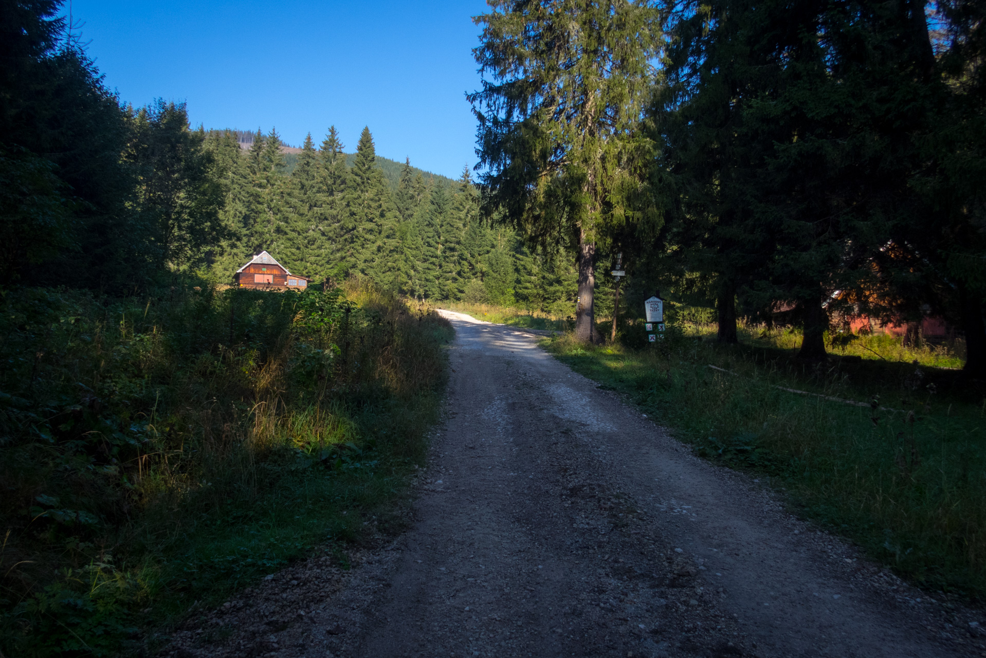 Martalúzka a Predná hoľa z Pustého poľa (Nízke Tatry)