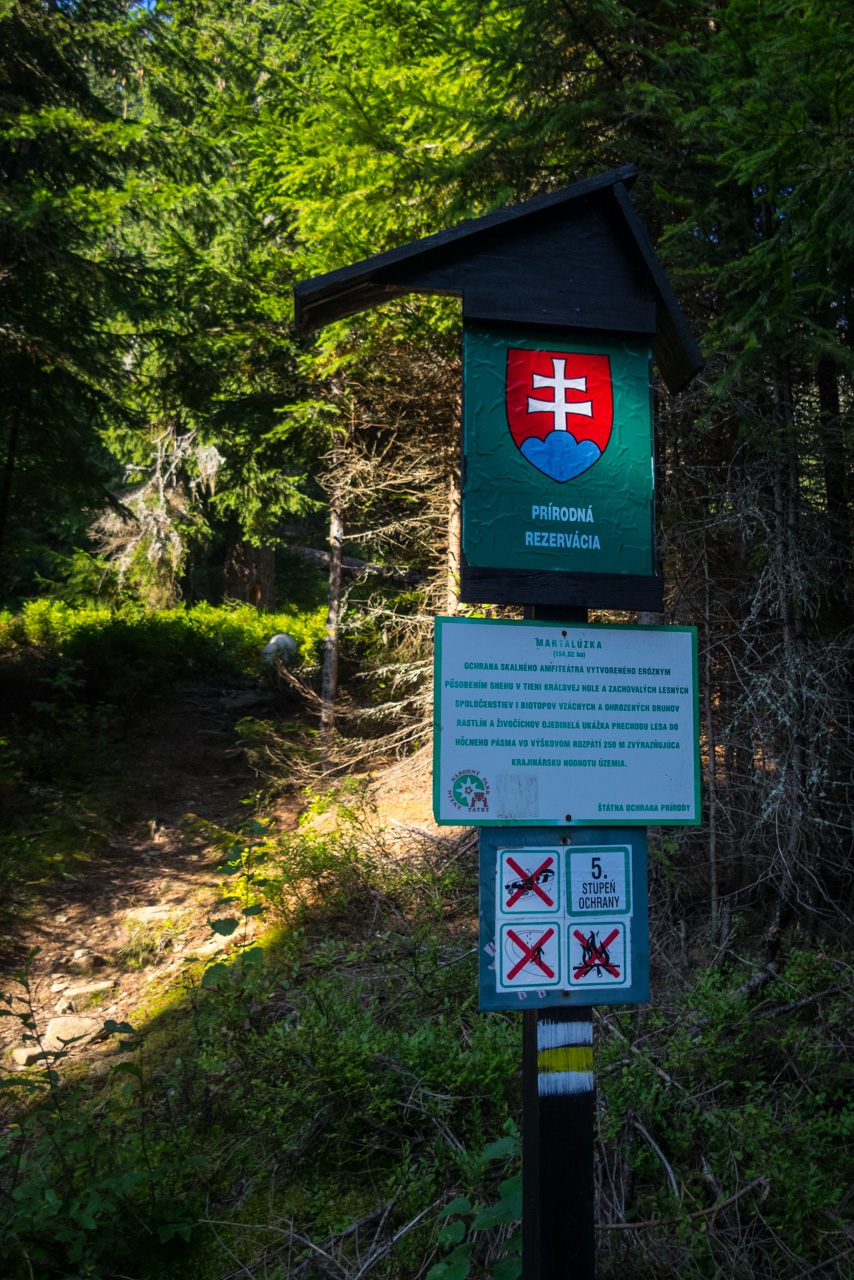 Martalúzka a Predná hoľa z Pustého poľa (Nízke Tatry)