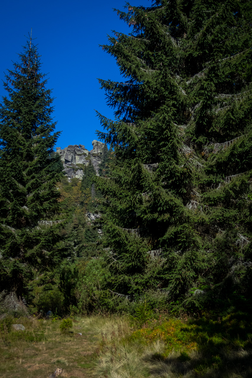 Martalúzka a Predná hoľa z Pustého poľa (Nízke Tatry)