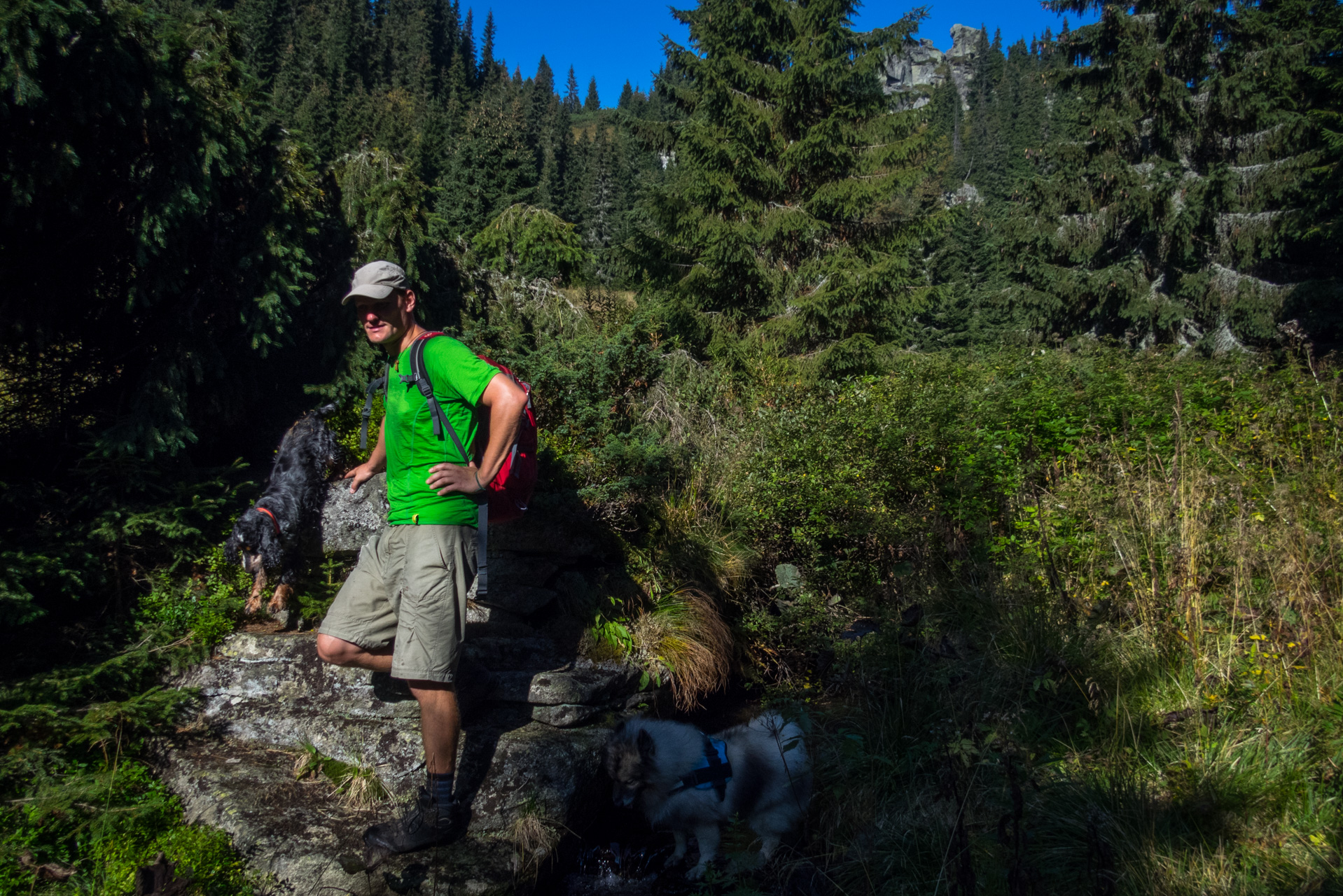 Martalúzka a Predná hoľa z Pustého poľa (Nízke Tatry)