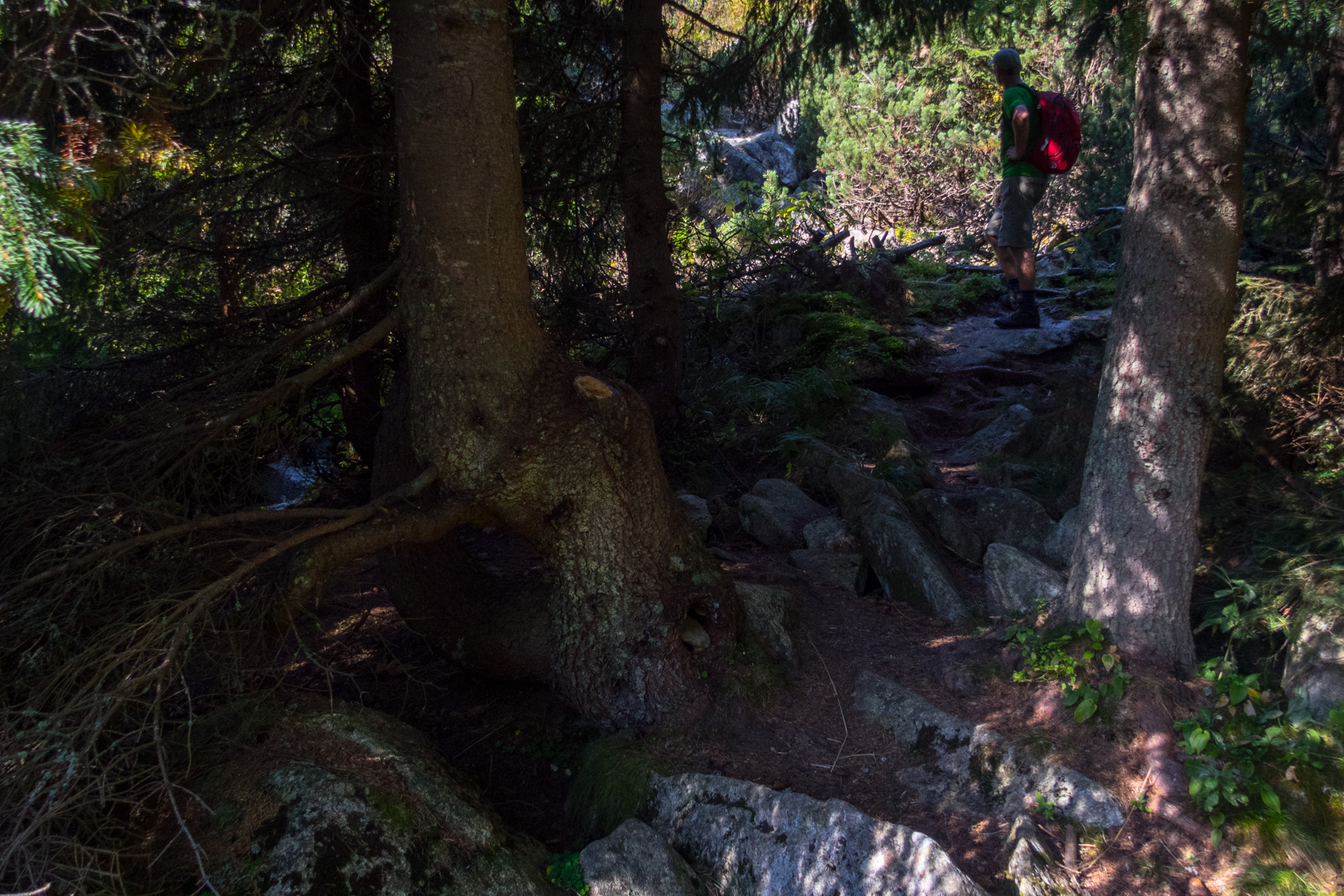 Martalúzka a Predná hoľa z Pustého poľa (Nízke Tatry)