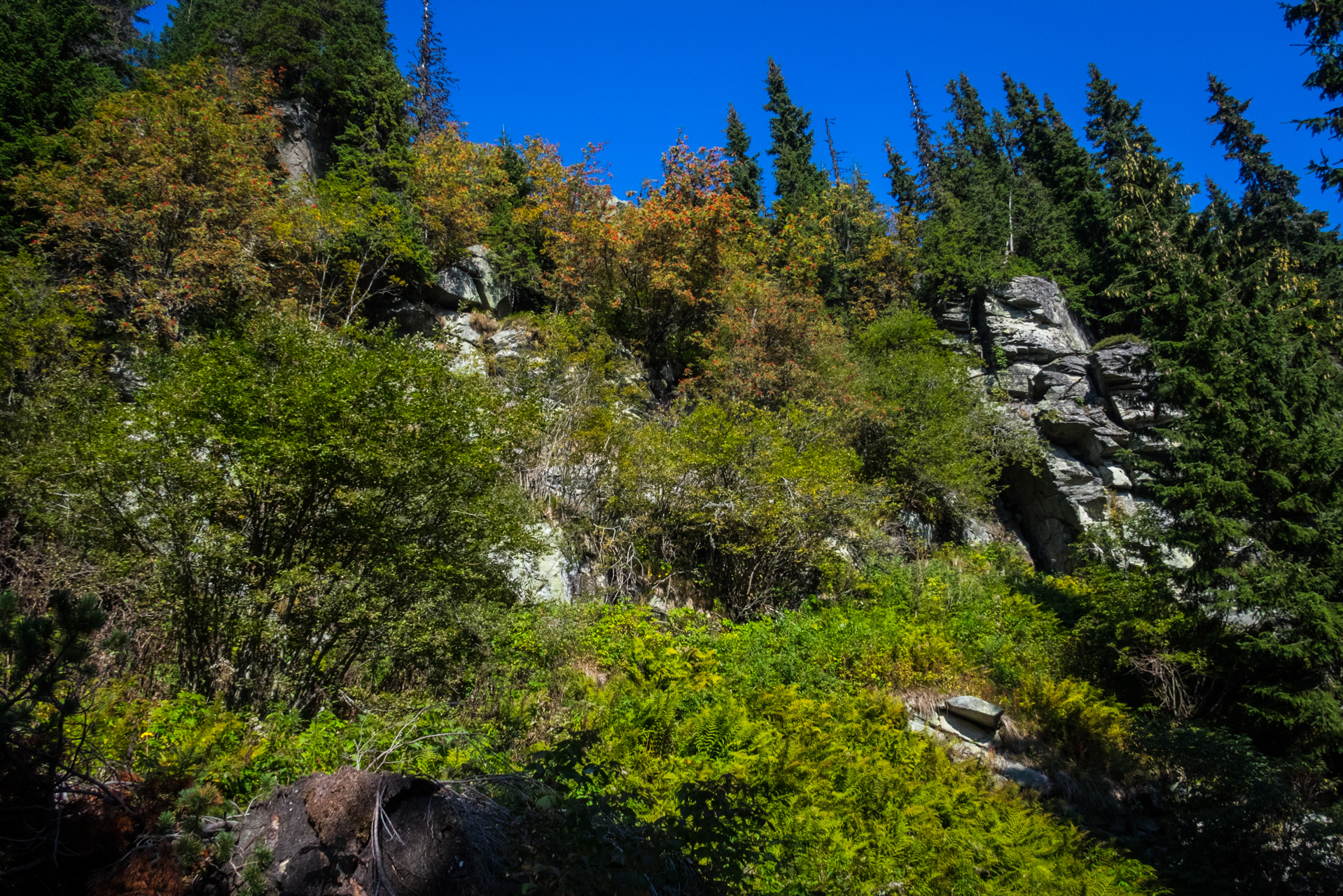 Martalúzka a Predná hoľa z Pustého poľa (Nízke Tatry)