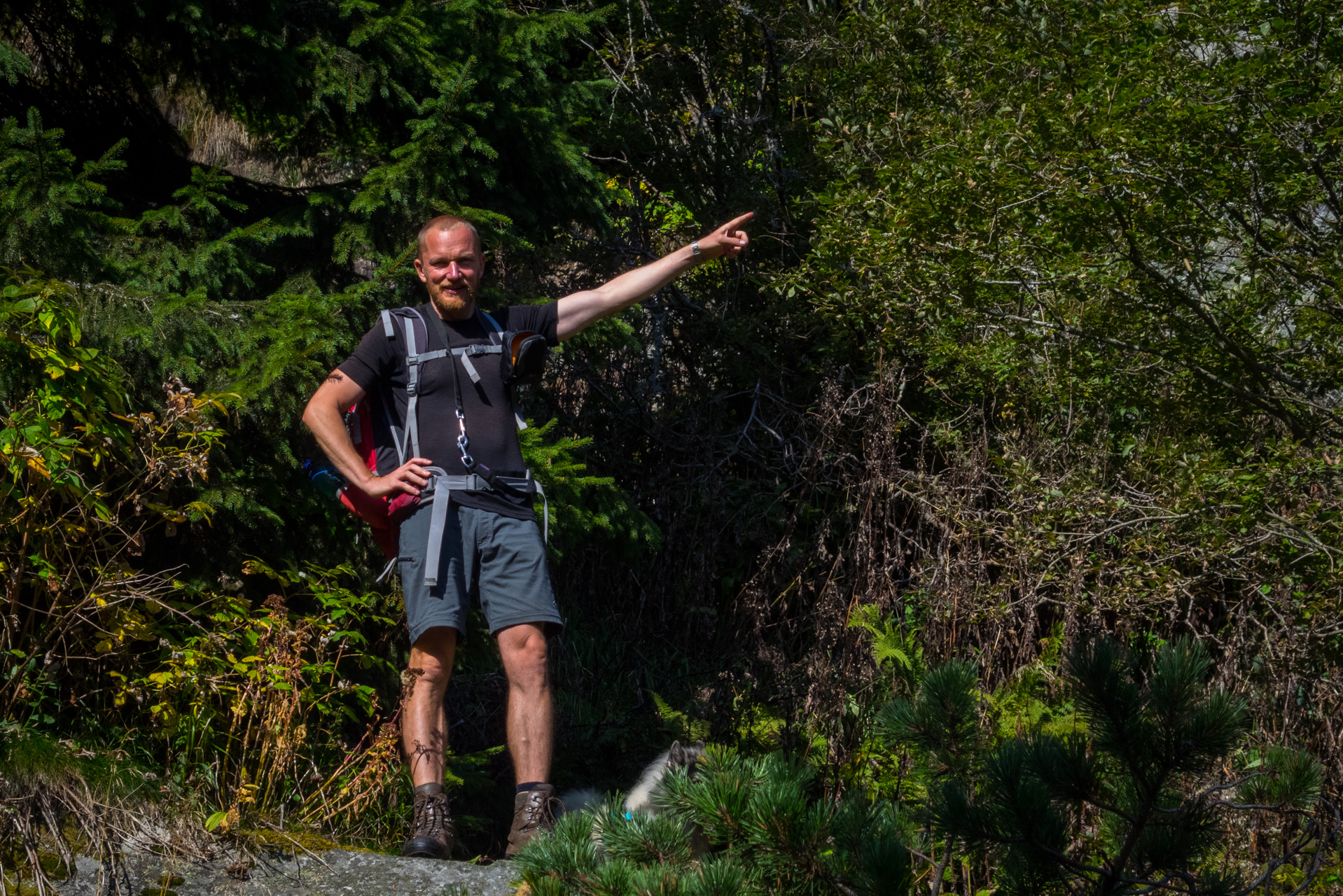 Martalúzka a Predná hoľa z Pustého poľa (Nízke Tatry)