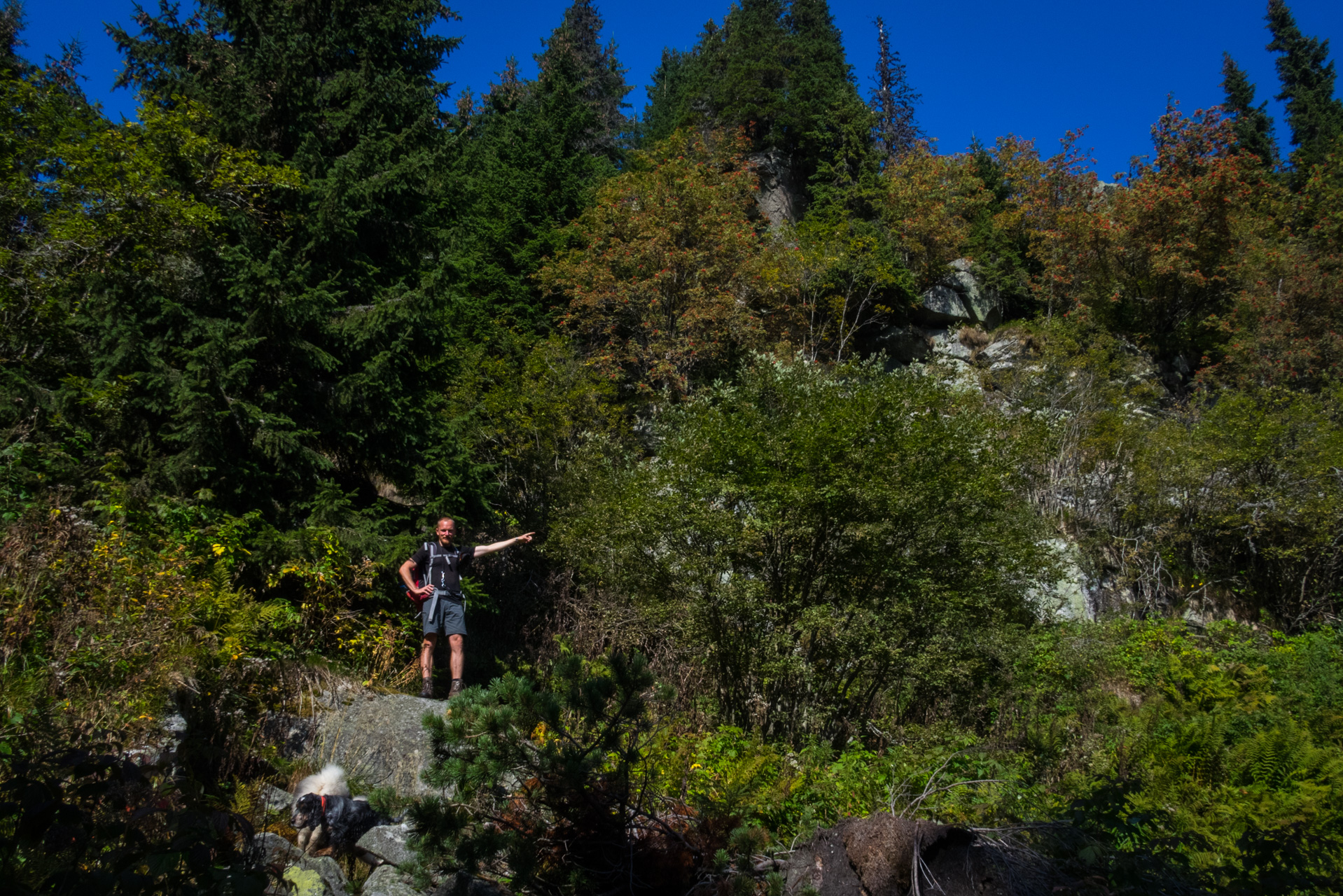 Martalúzka a Predná hoľa z Pustého poľa (Nízke Tatry)