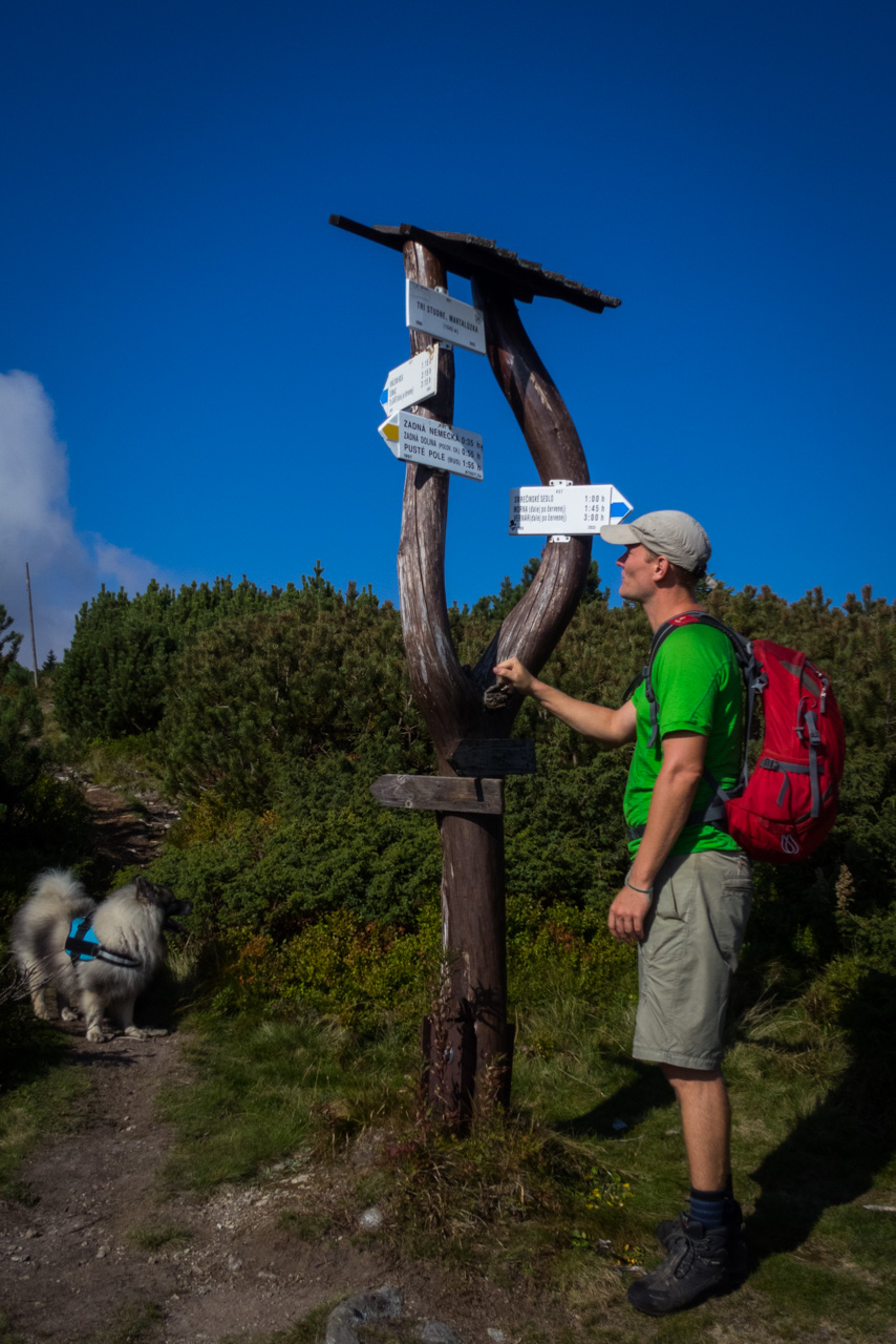 Martalúzka a Predná hoľa z Pustého poľa (Nízke Tatry)