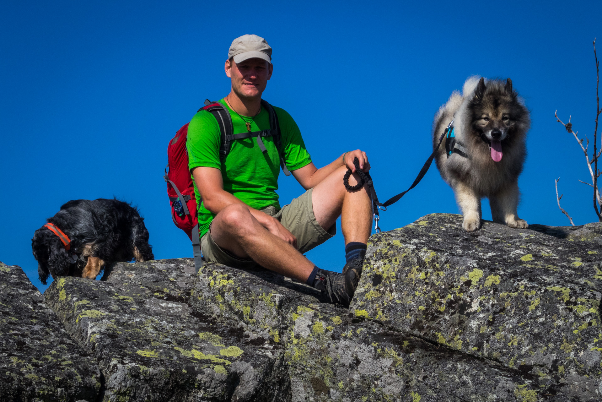 Martalúzka a Predná hoľa z Pustého poľa (Nízke Tatry)