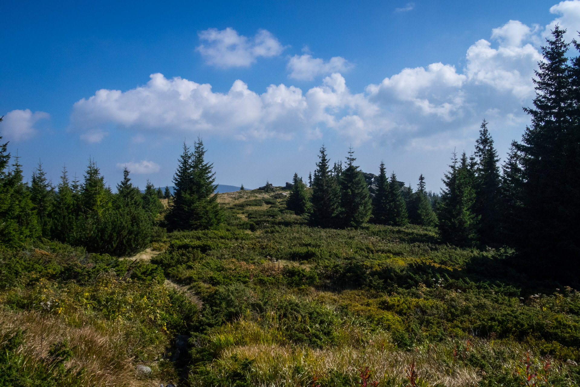 Martalúzka a Predná hoľa z Pustého poľa (Nízke Tatry)