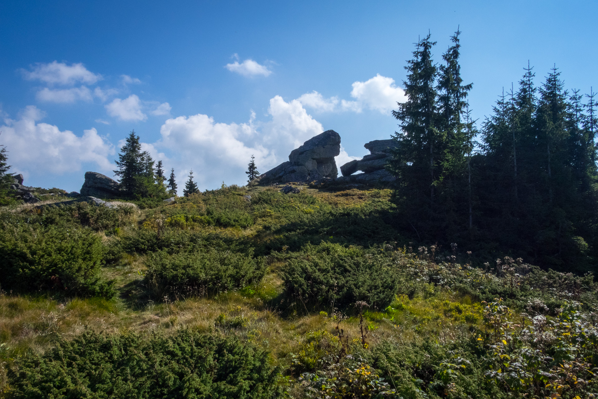 Martalúzka a Predná hoľa z Pustého poľa (Nízke Tatry)