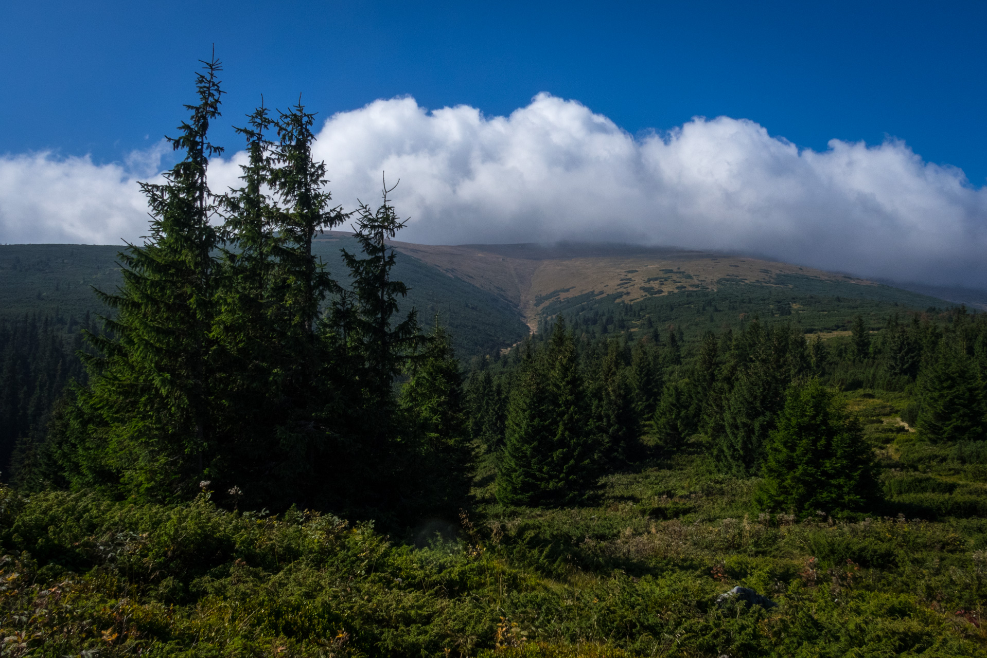 Martalúzka a Predná hoľa z Pustého poľa (Nízke Tatry)