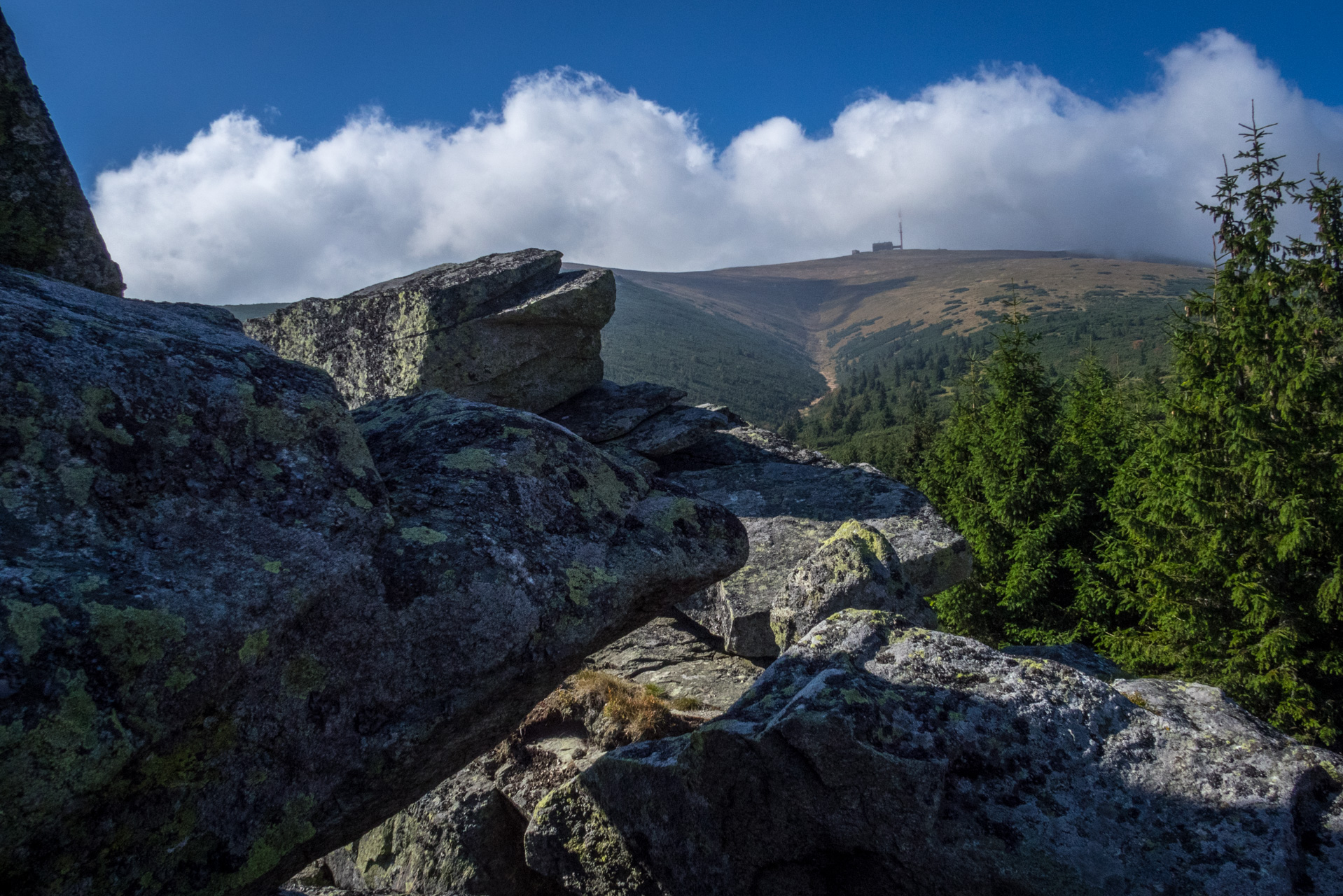 Martalúzka a Predná hoľa z Pustého poľa (Nízke Tatry)