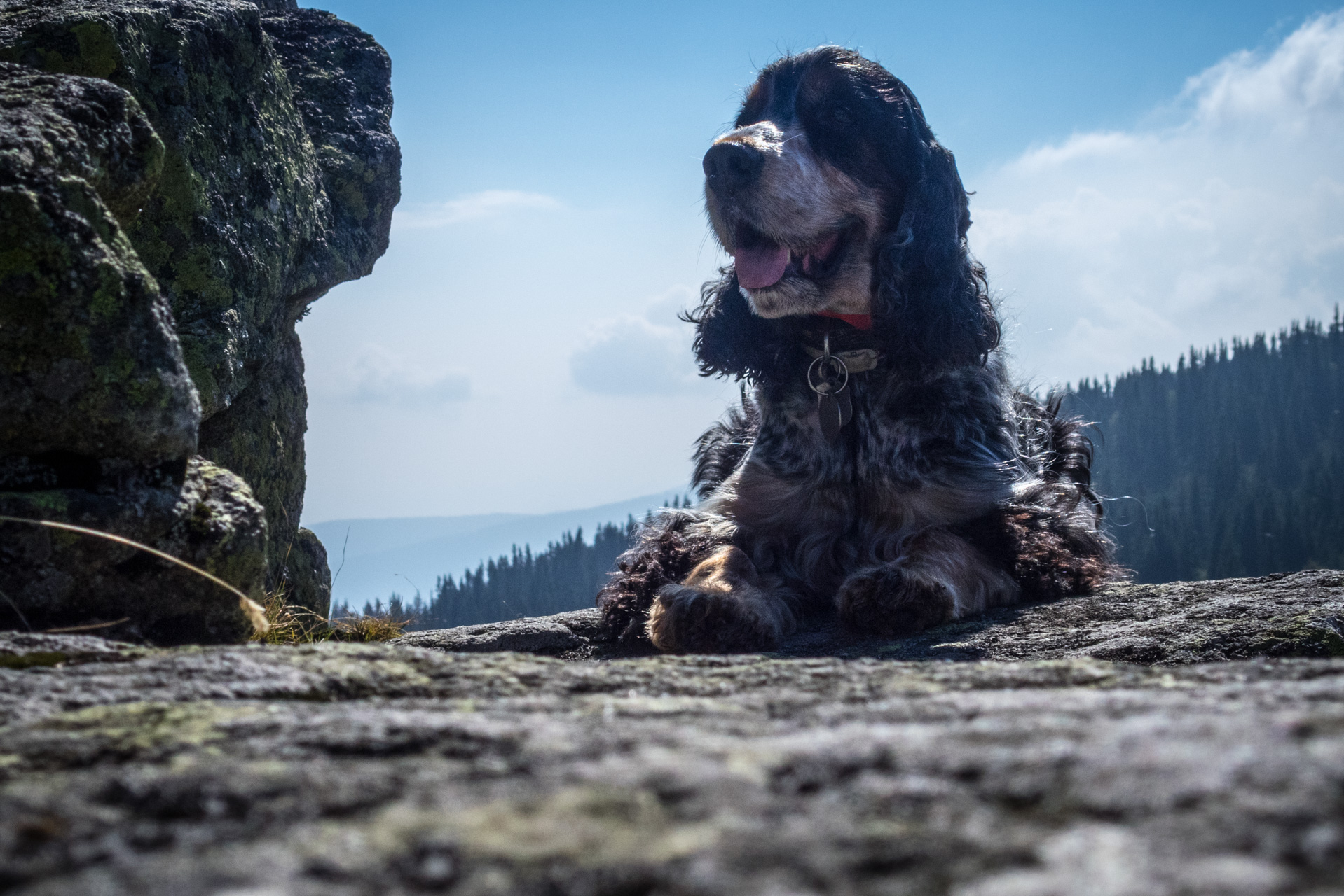 Martalúzka a Predná hoľa z Pustého poľa (Nízke Tatry)