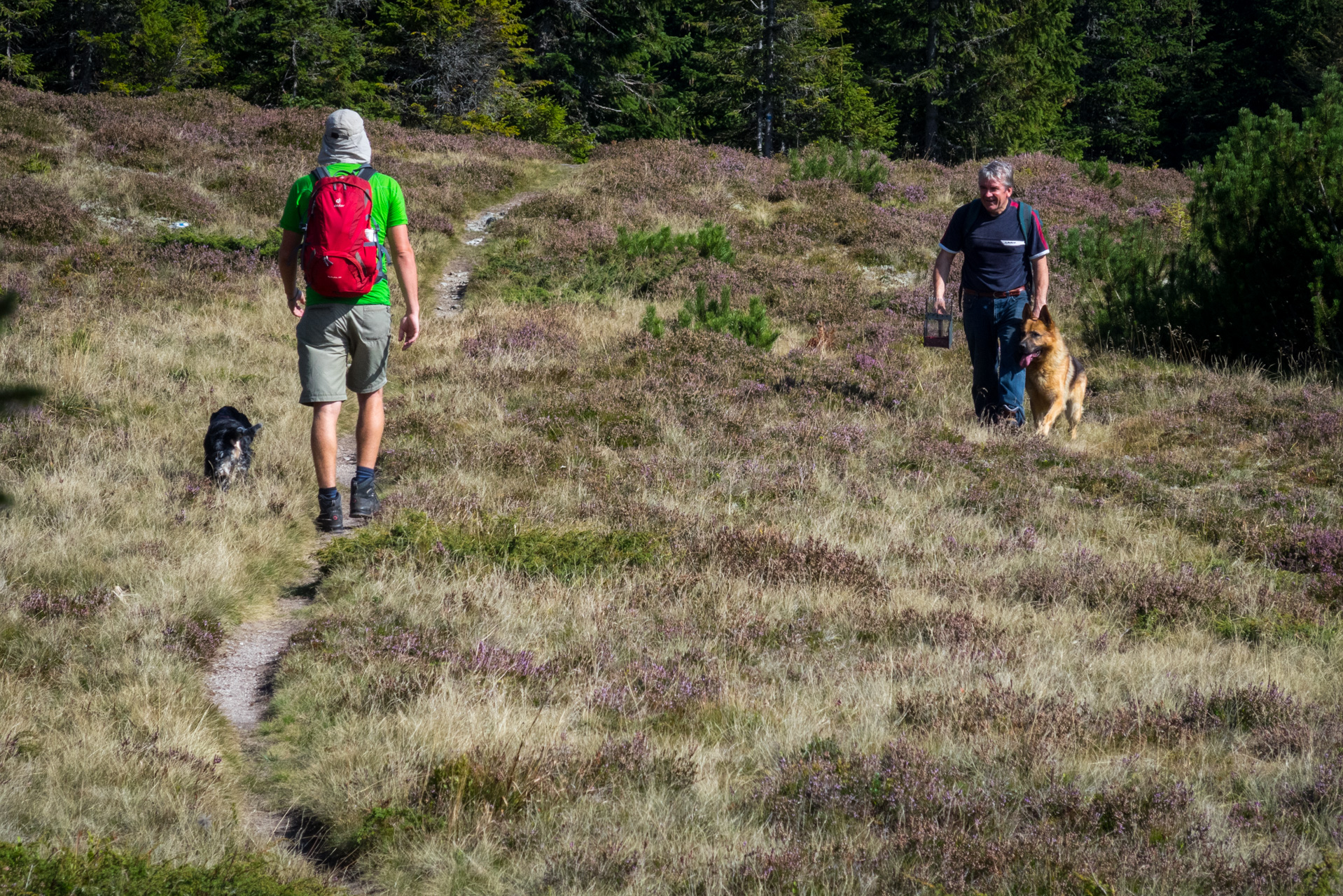 Martalúzka a Predná hoľa z Pustého poľa (Nízke Tatry)