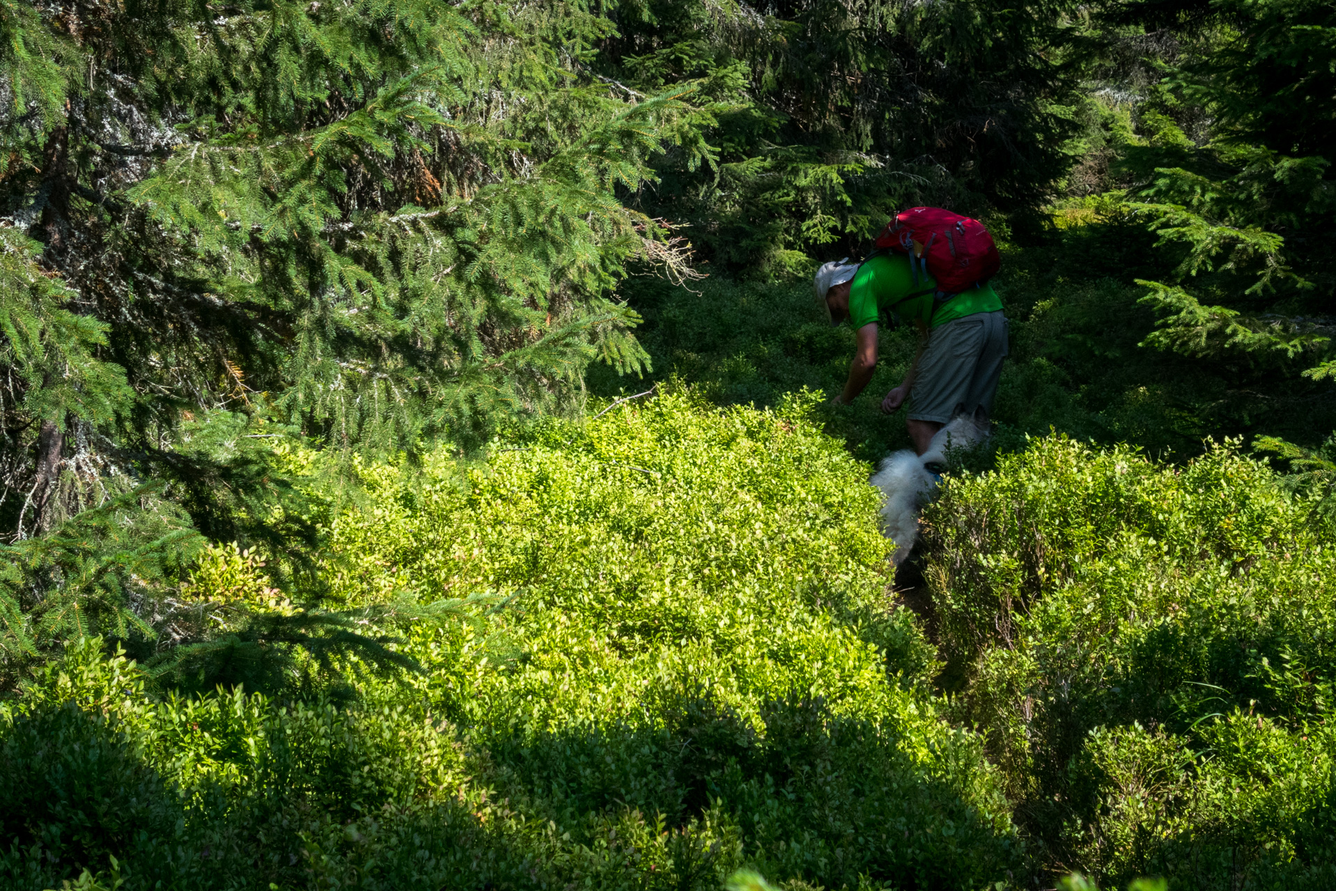 Martalúzka a Predná hoľa z Pustého poľa (Nízke Tatry)