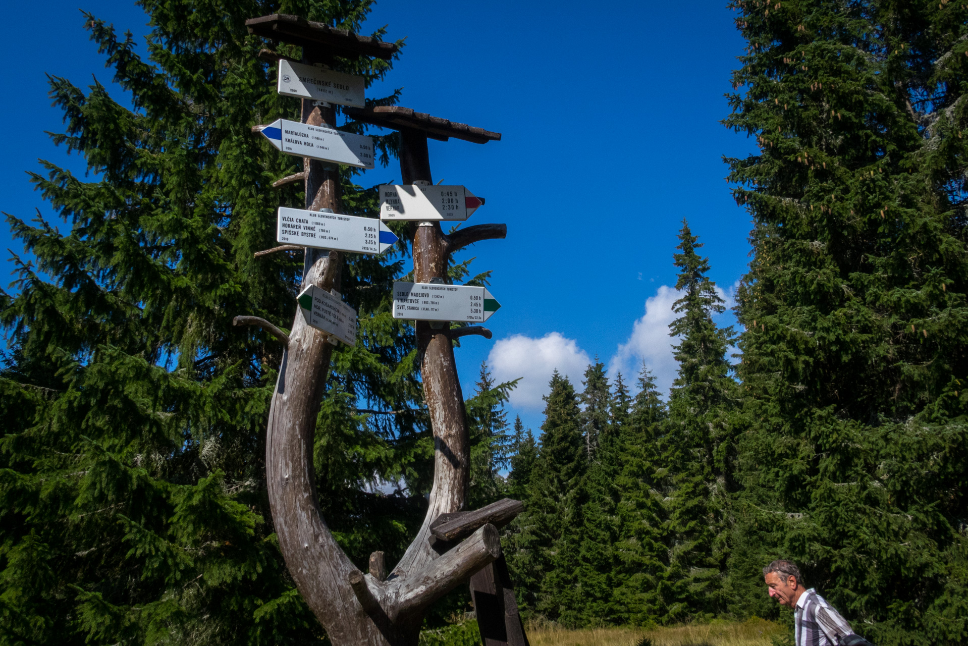 Martalúzka a Predná hoľa z Pustého poľa (Nízke Tatry)