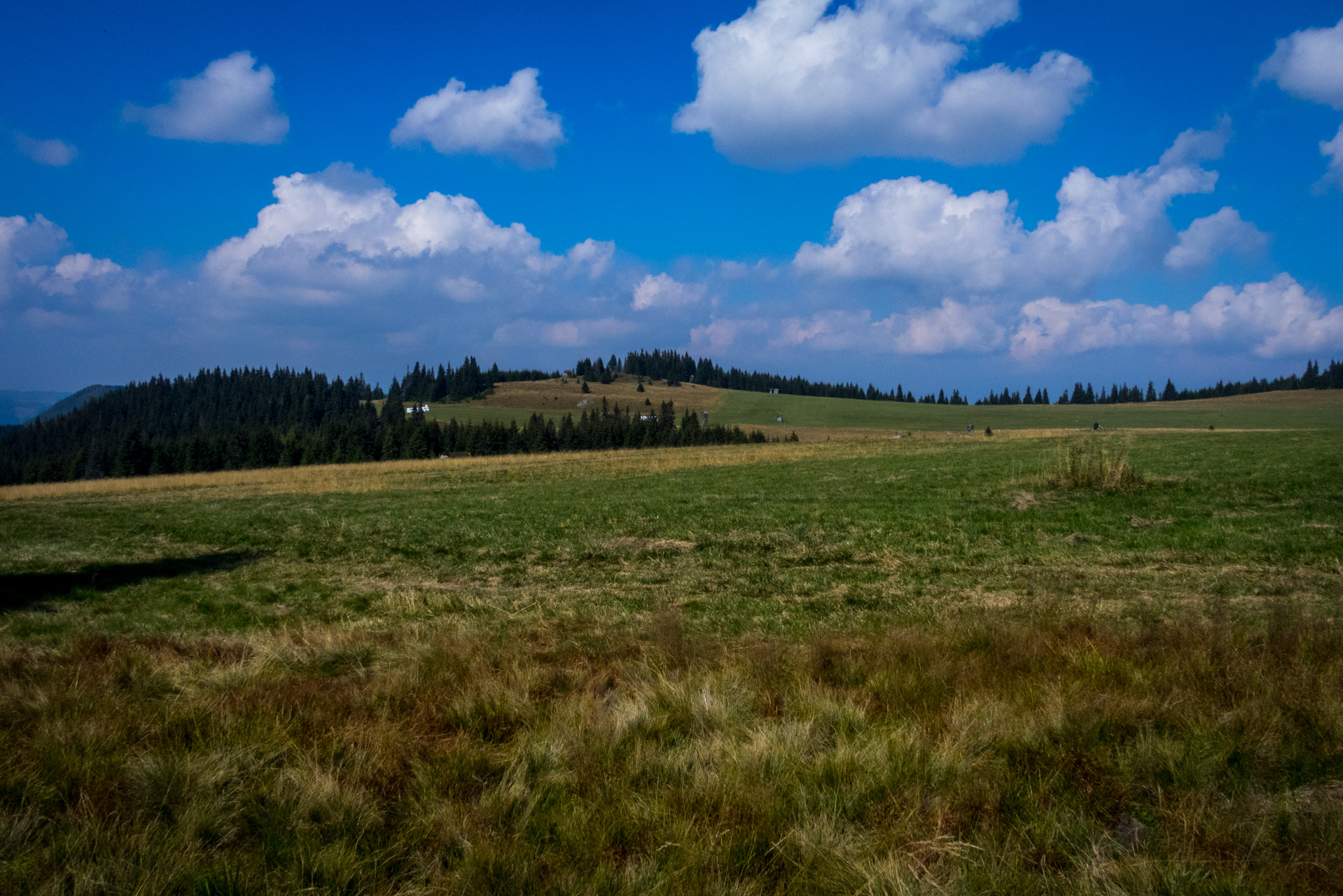 Martalúzka a Predná hoľa z Pustého poľa (Nízke Tatry)