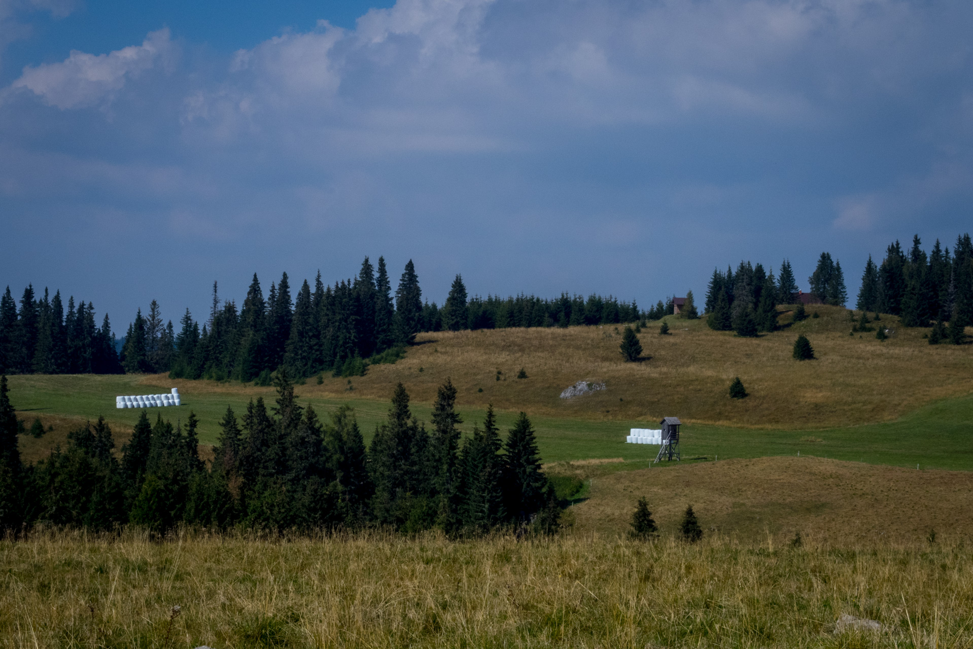 Martalúzka a Predná hoľa z Pustého poľa (Nízke Tatry)