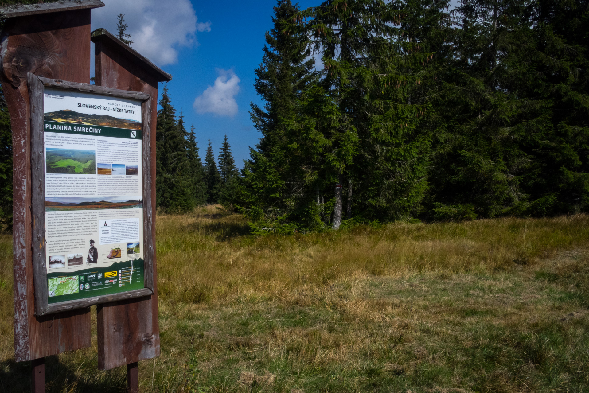 Martalúzka a Predná hoľa z Pustého poľa (Nízke Tatry)