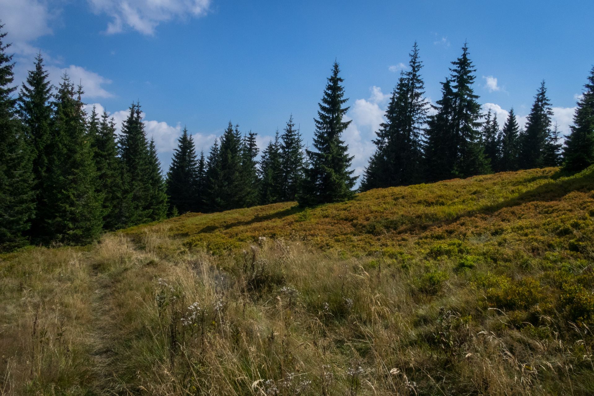 Martalúzka a Predná hoľa z Pustého poľa (Nízke Tatry)