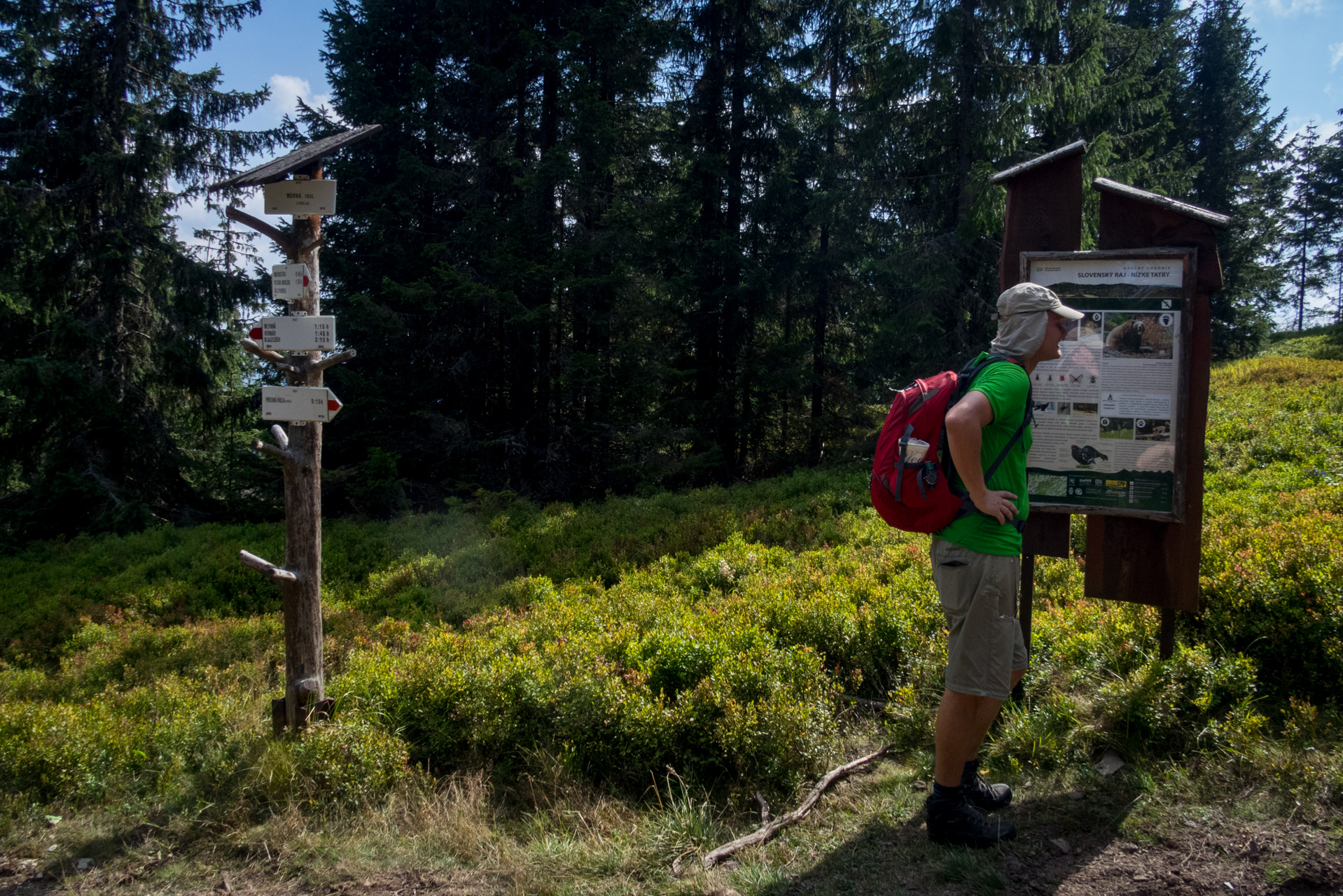 Martalúzka a Predná hoľa z Pustého poľa (Nízke Tatry)