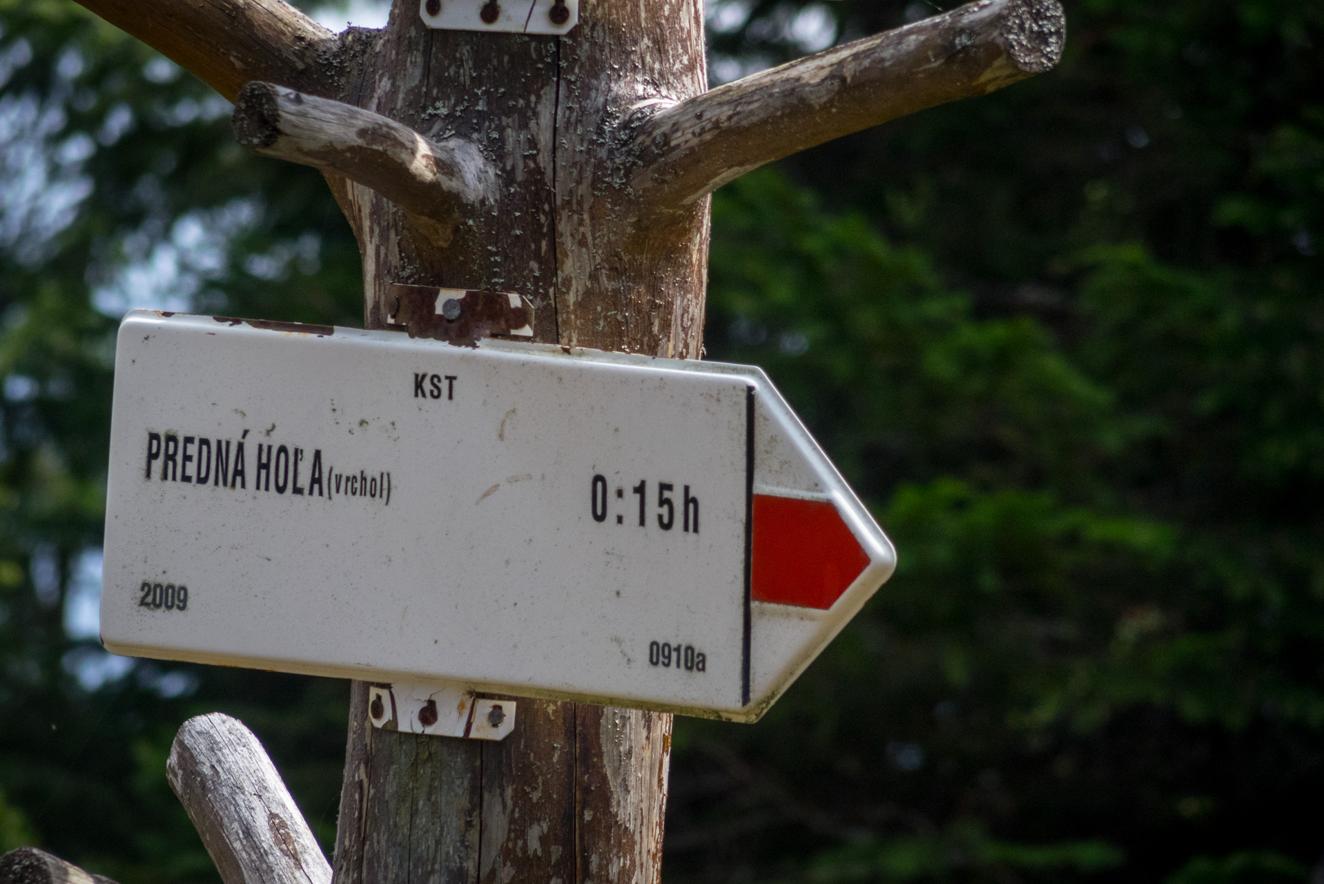 Martalúzka a Predná hoľa z Pustého poľa (Nízke Tatry)