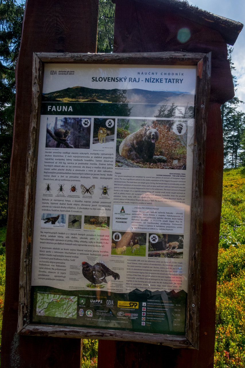 Martalúzka a Predná hoľa z Pustého poľa (Nízke Tatry)