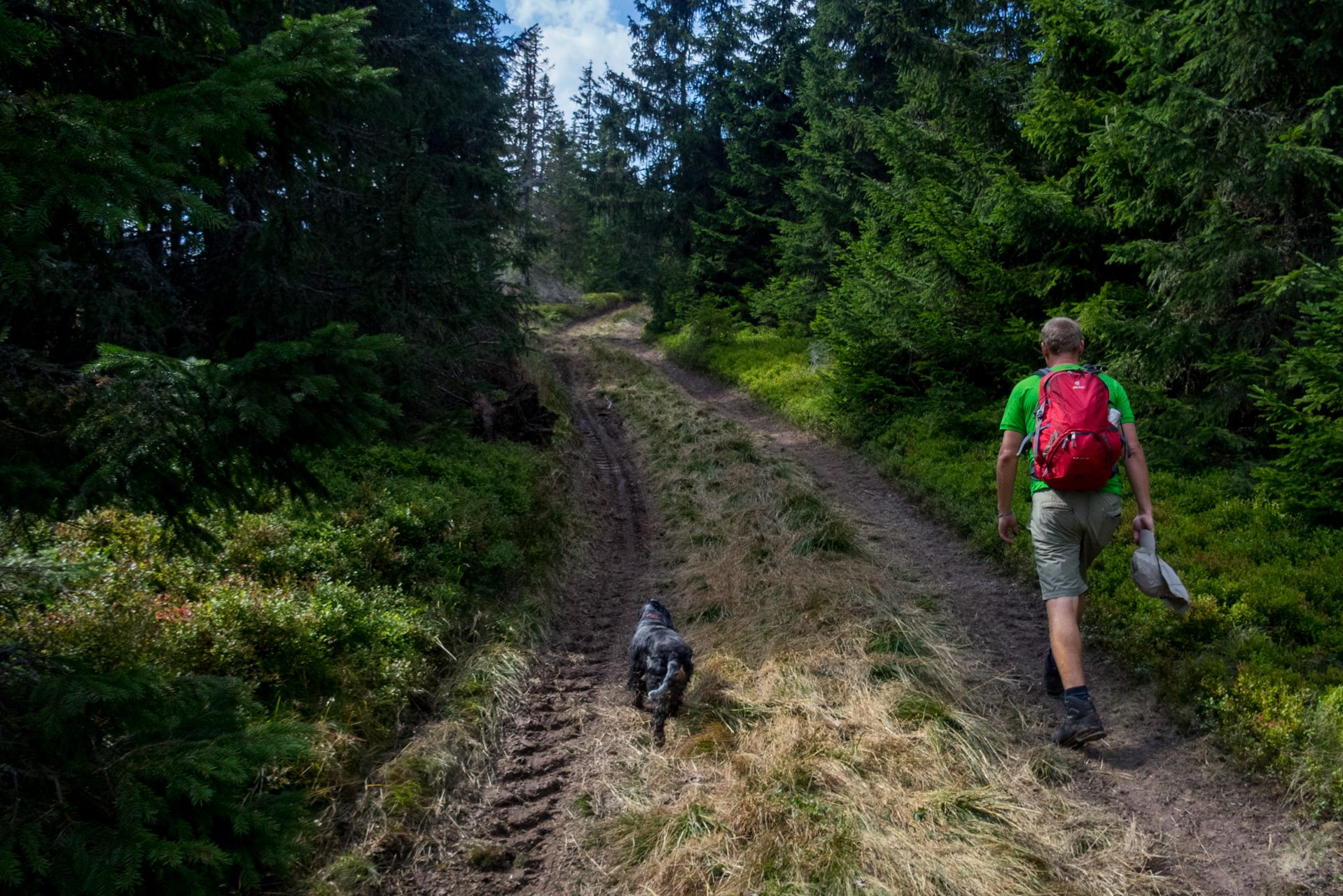 Martalúzka a Predná hoľa z Pustého poľa (Nízke Tatry)