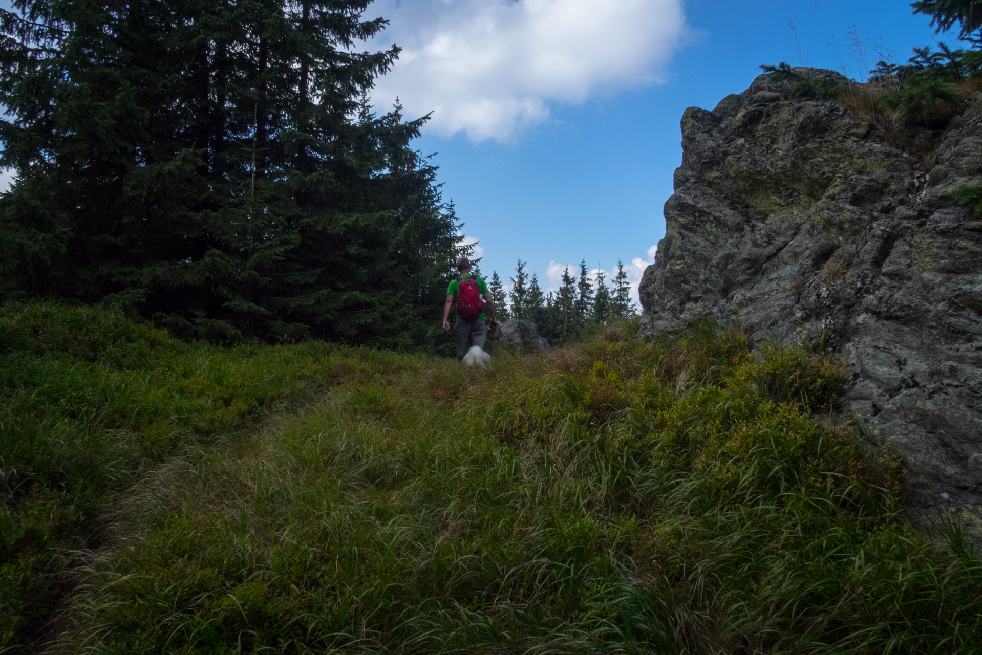 Martalúzka a Predná hoľa z Pustého poľa (Nízke Tatry)