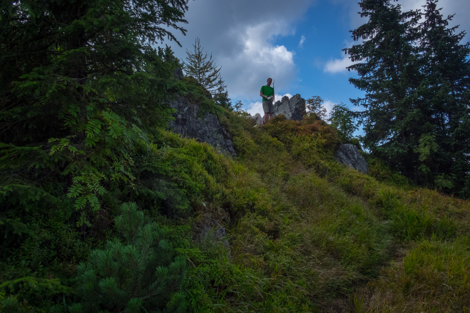 Martalúzka a Predná hoľa z Pustého poľa (Nízke Tatry)