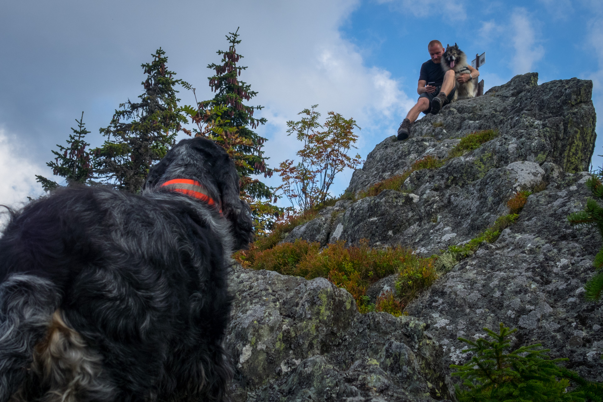 Martalúzka a Predná hoľa z Pustého poľa (Nízke Tatry)