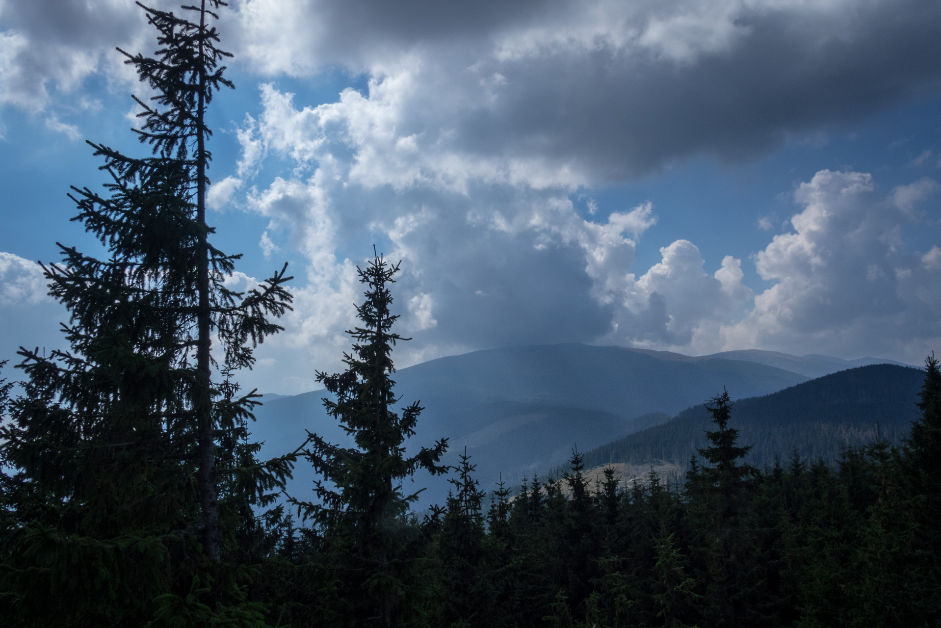 Martalúzka a Predná hoľa z Pustého poľa (Nízke Tatry)