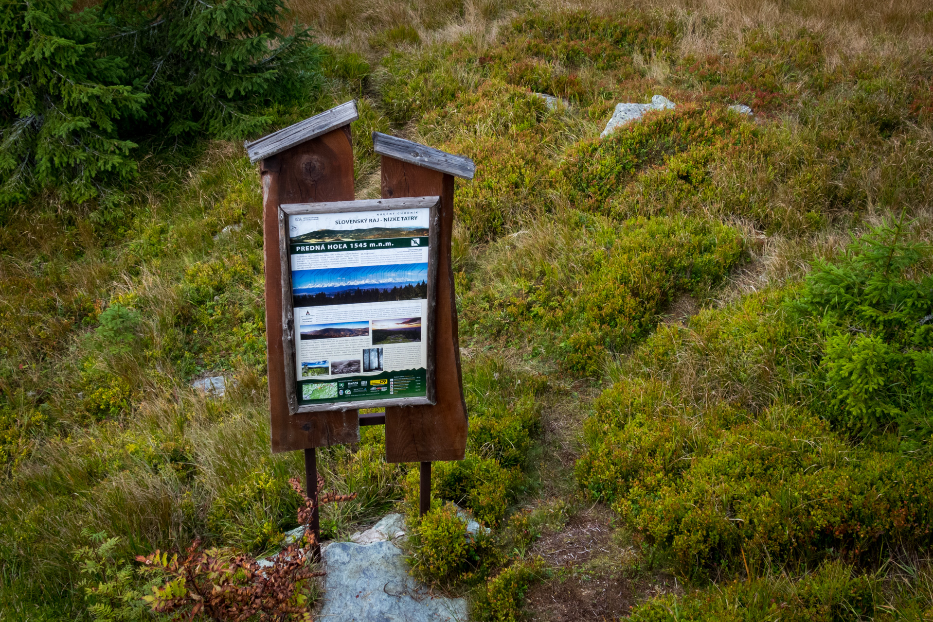 Martalúzka a Predná hoľa z Pustého poľa (Nízke Tatry)