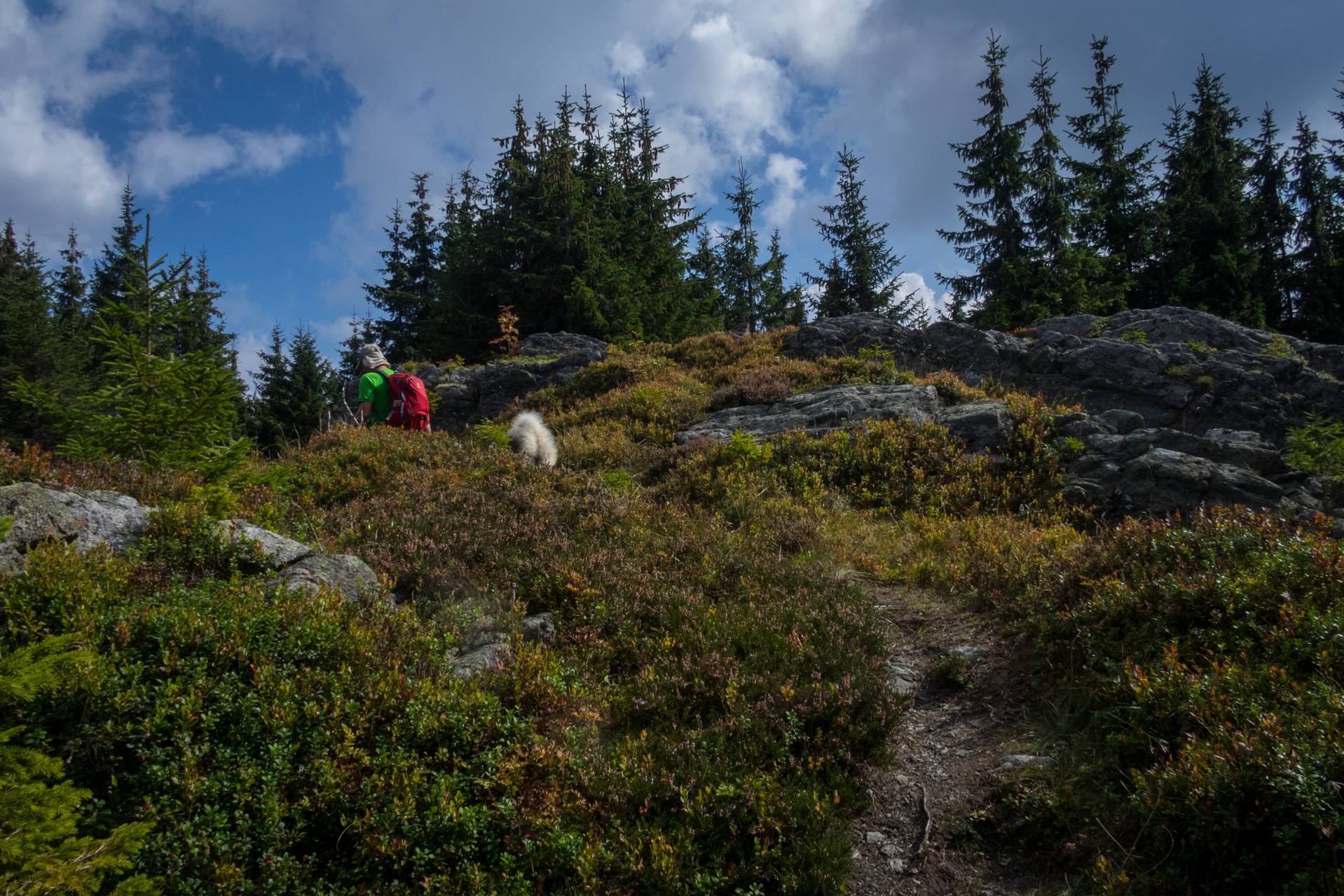 Martalúzka a Predná hoľa z Pustého poľa (Nízke Tatry)