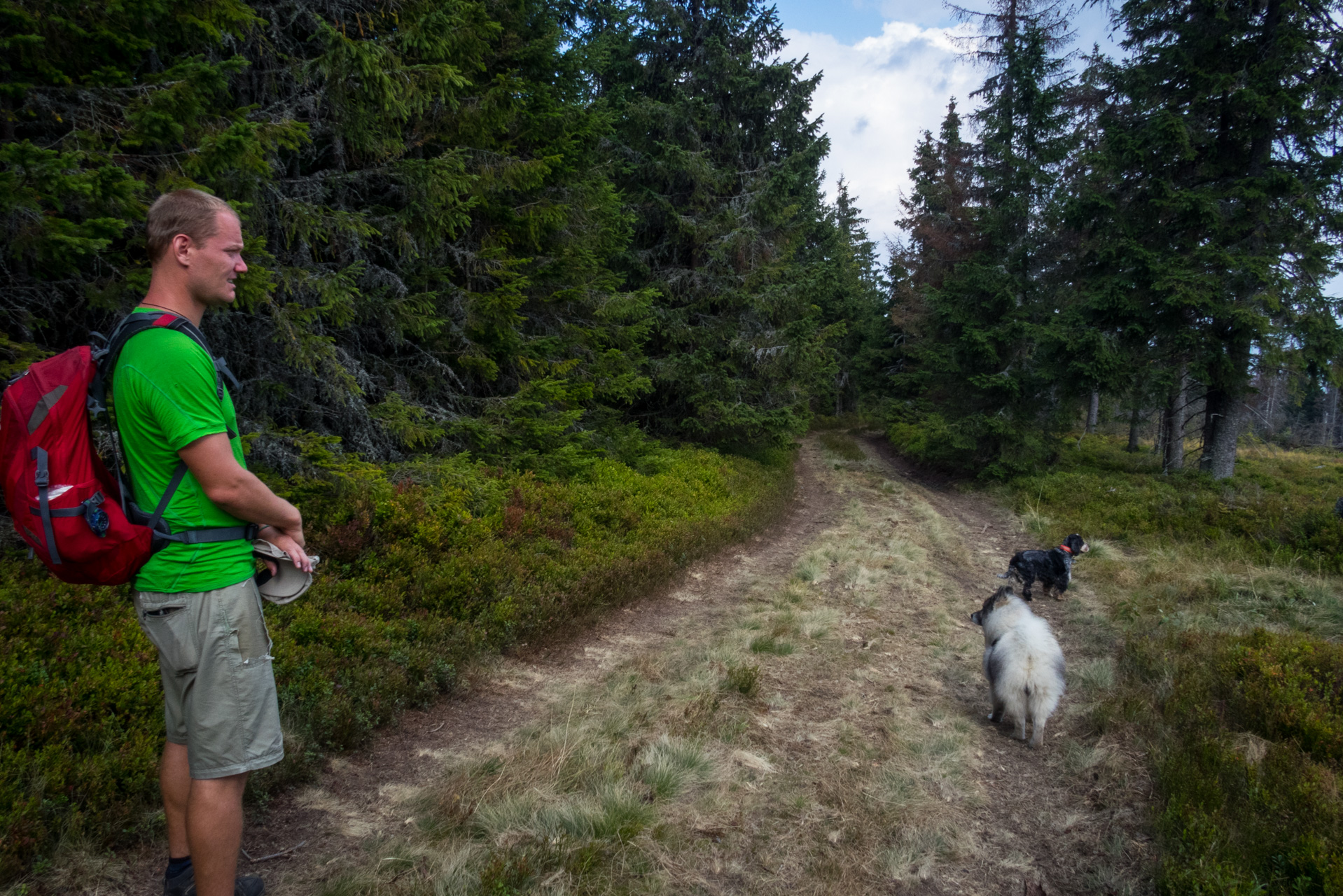 Martalúzka a Predná hoľa z Pustého poľa (Nízke Tatry)