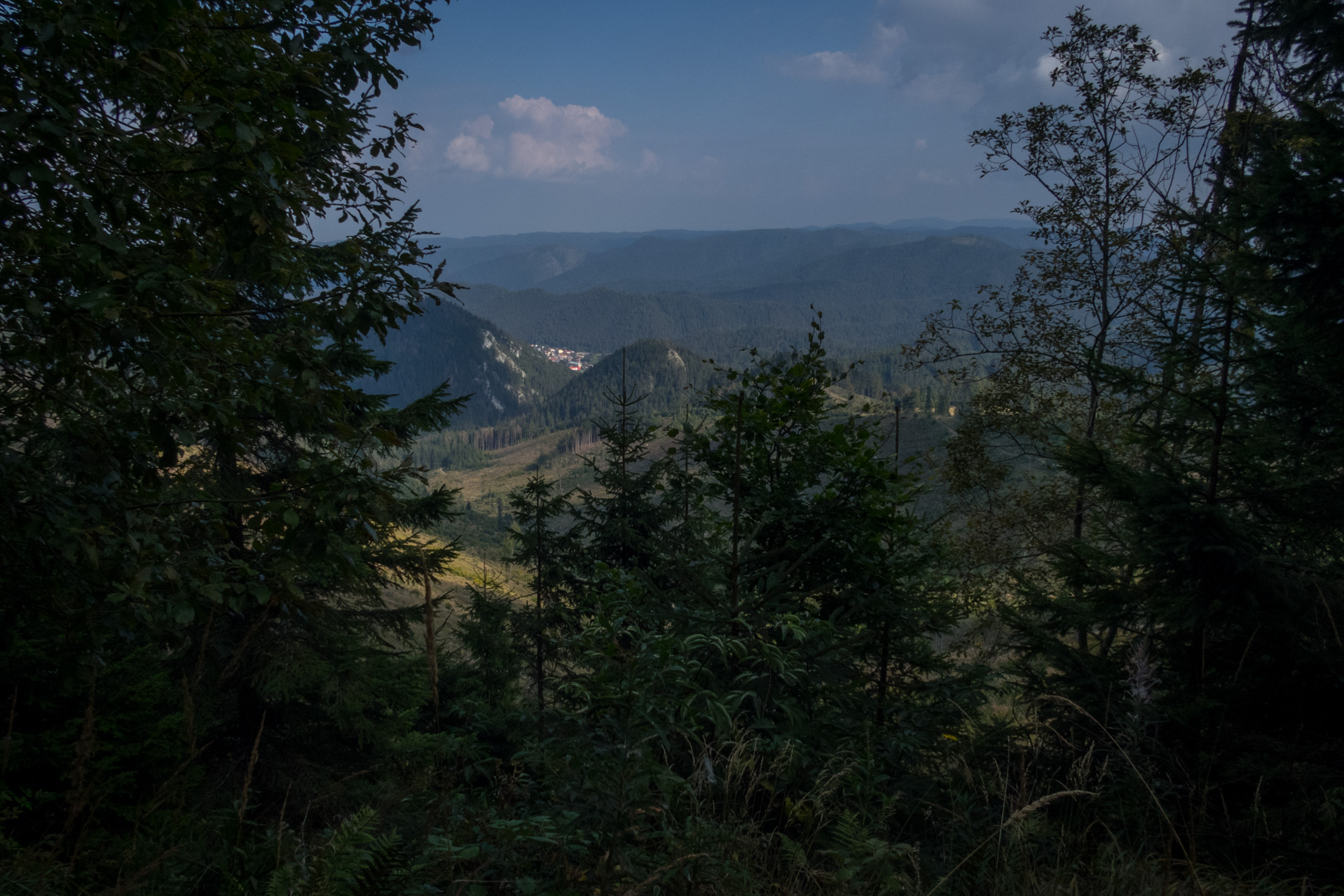 Martalúzka a Predná hoľa z Pustého poľa (Nízke Tatry)