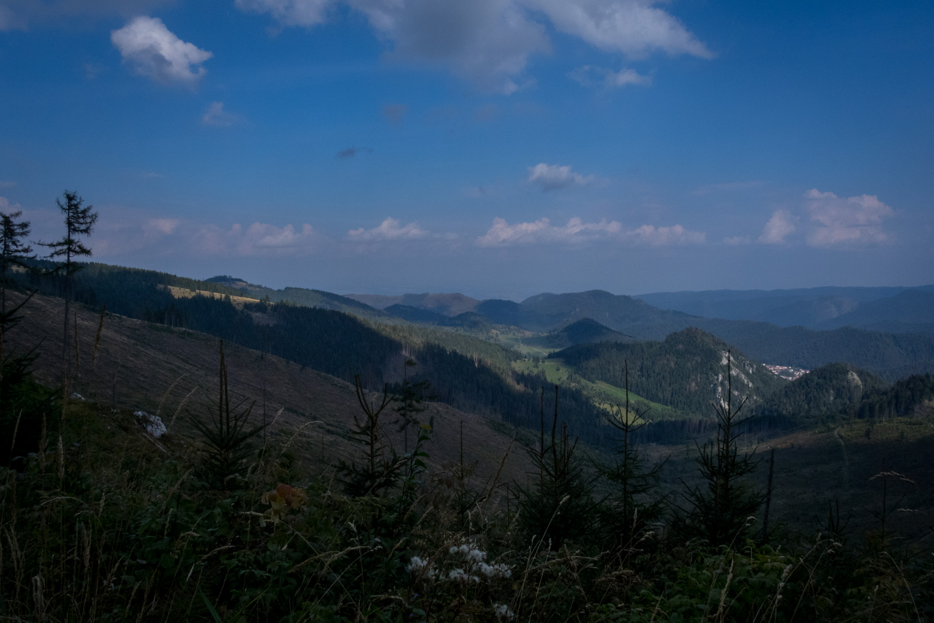 Martalúzka a Predná hoľa z Pustého poľa (Nízke Tatry)