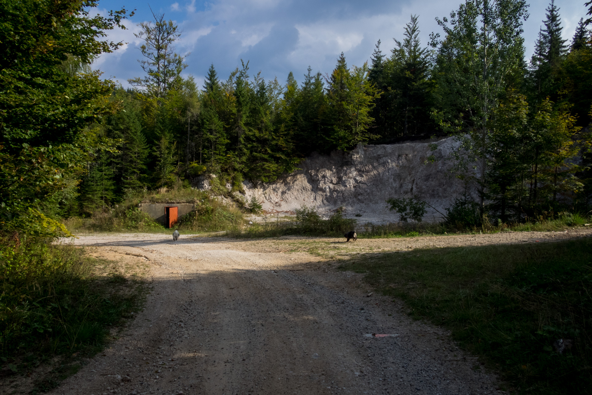 Martalúzka a Predná hoľa z Pustého poľa (Nízke Tatry)