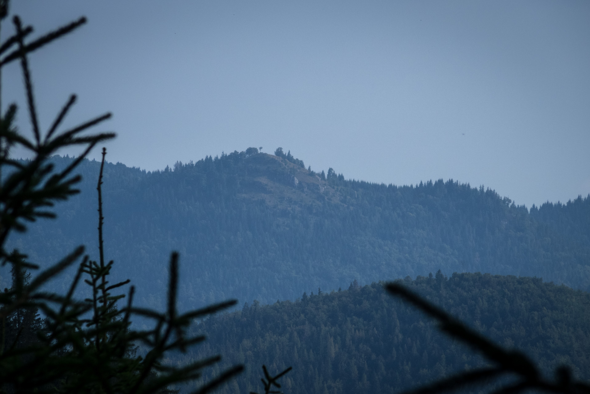 Martalúzka a Predná hoľa z Pustého poľa (Nízke Tatry)