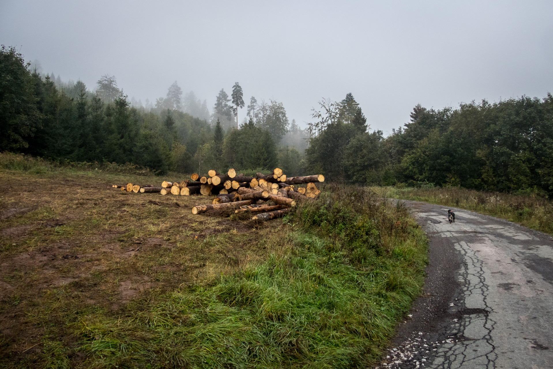 Matka Božia a Medvedia hlava z Košiarneho briežka (Slovenský raj)